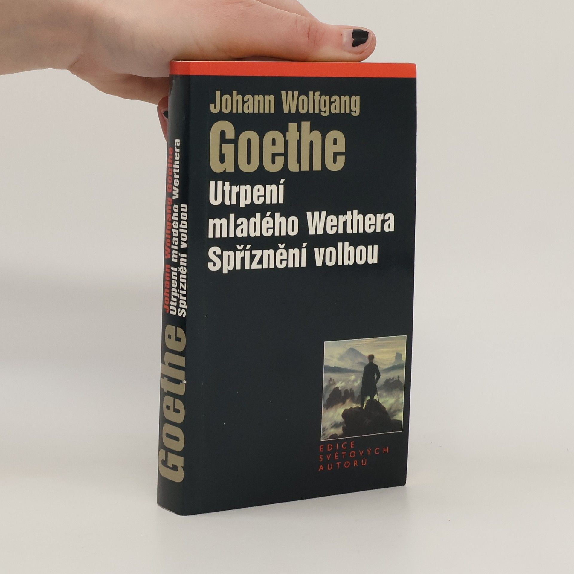 Utrpení mladého Werthera. Spříznění volbou