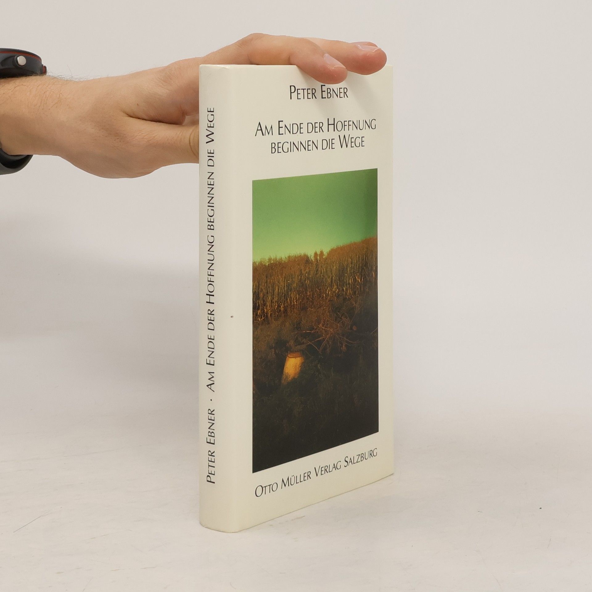 Peter Ebner Am Ende der Hoffnung beginnen die Wege