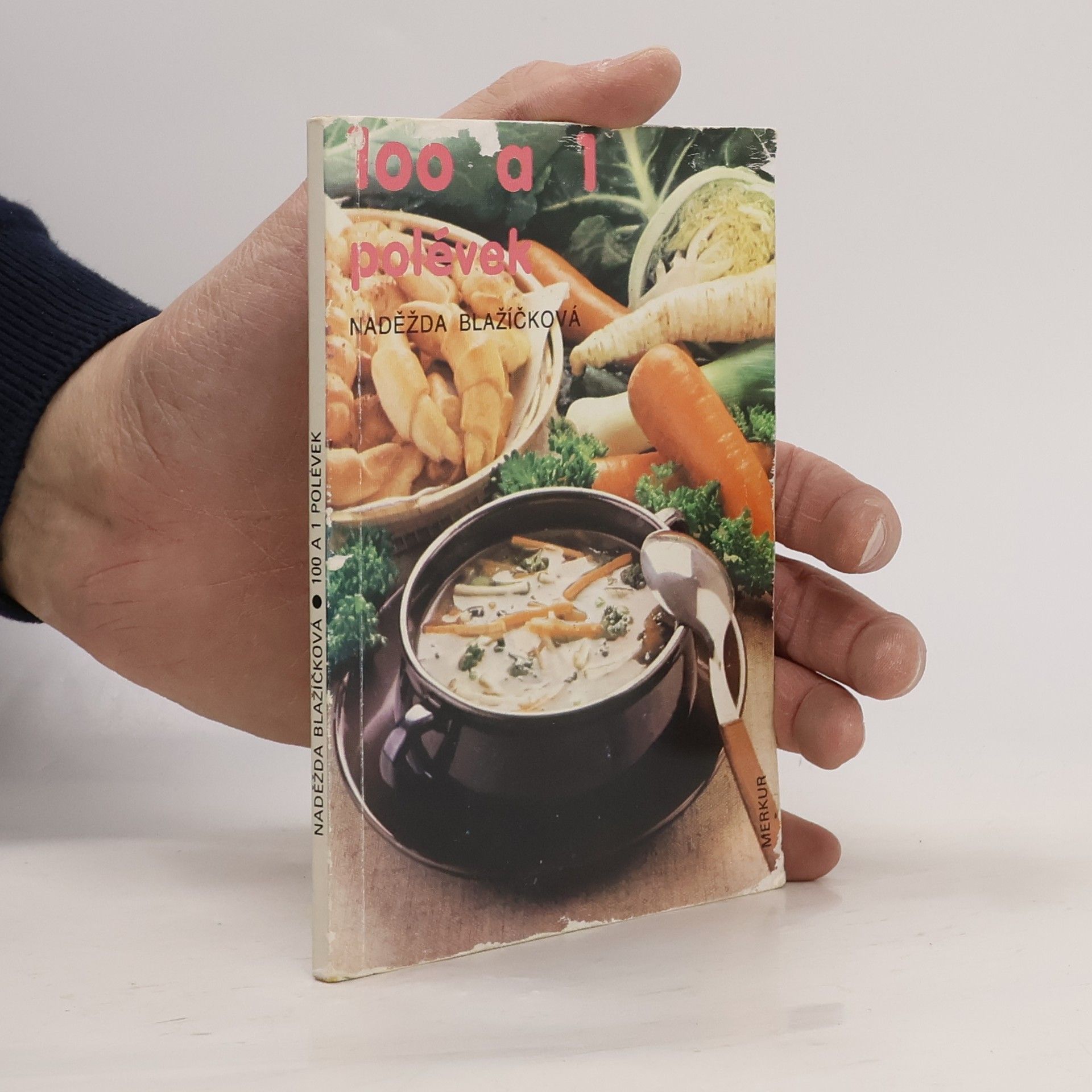Naděžda Blažíčková-Horová 100 a 1 polévek