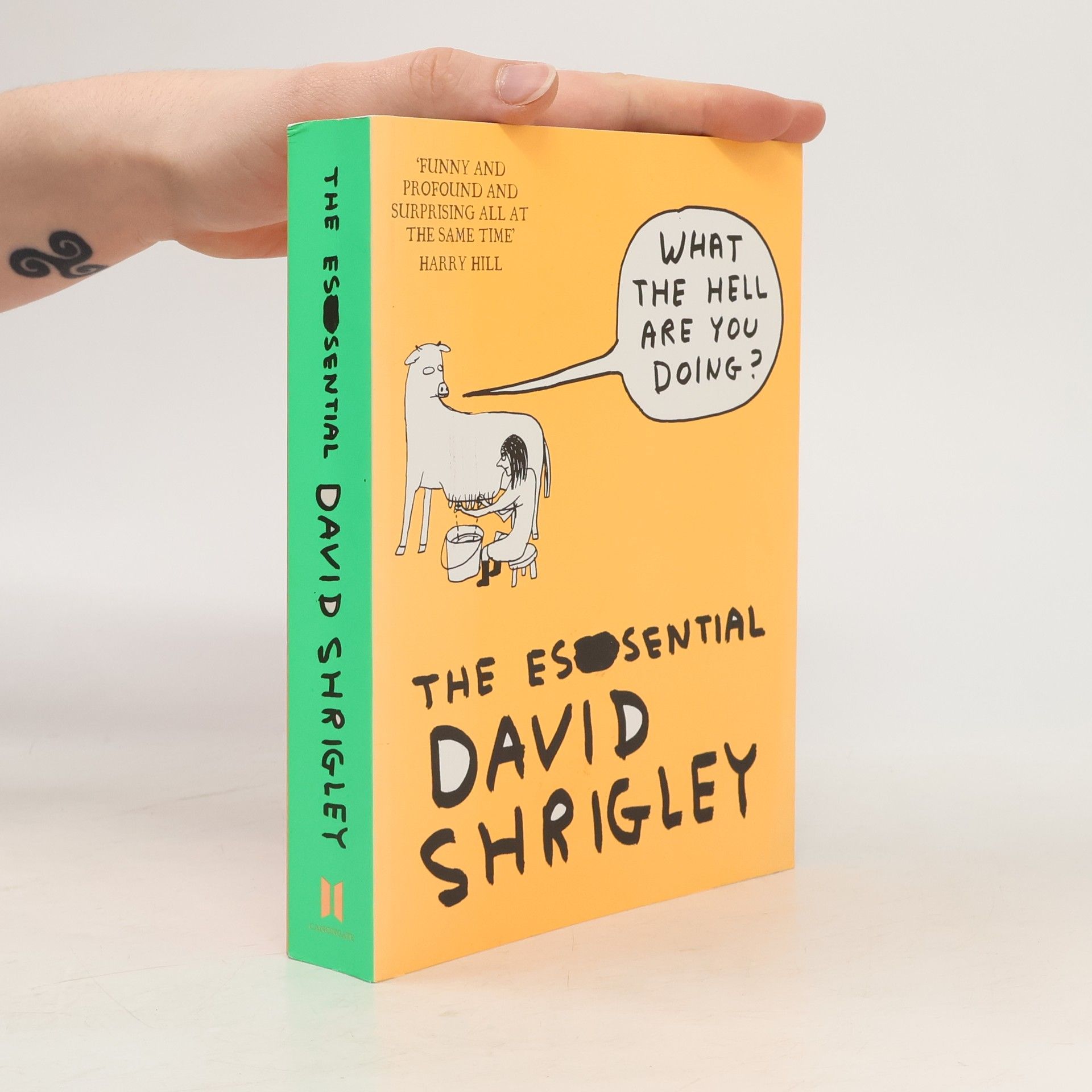 David Shrigley What the Hell are You Doing? The Essential David Shrigley. Äh . . . was machst du da eigentlich?, englische Ausgabe