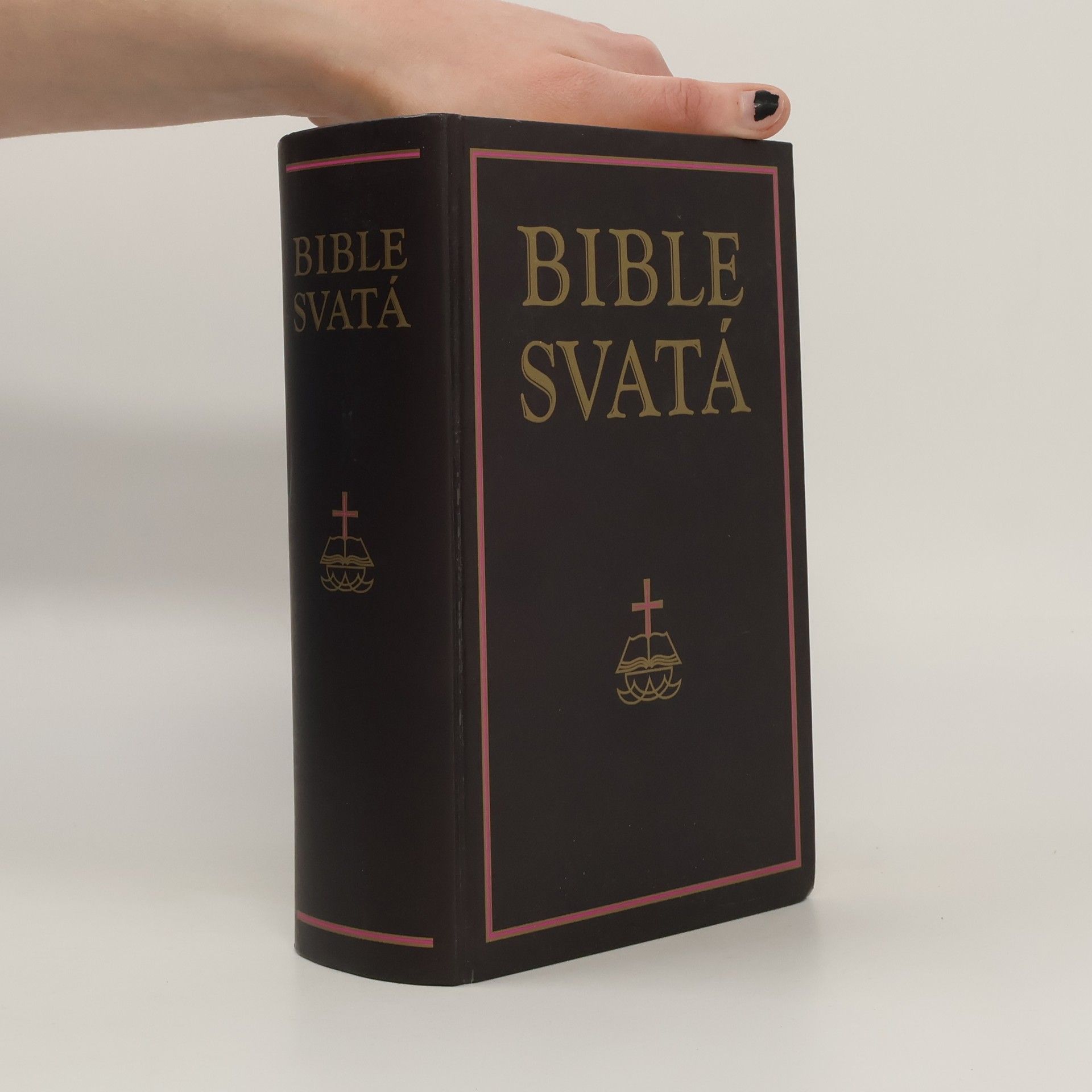 Collectif d'auteurs Bible svatá aneb všecka svatá písma Starého i Nového zákona