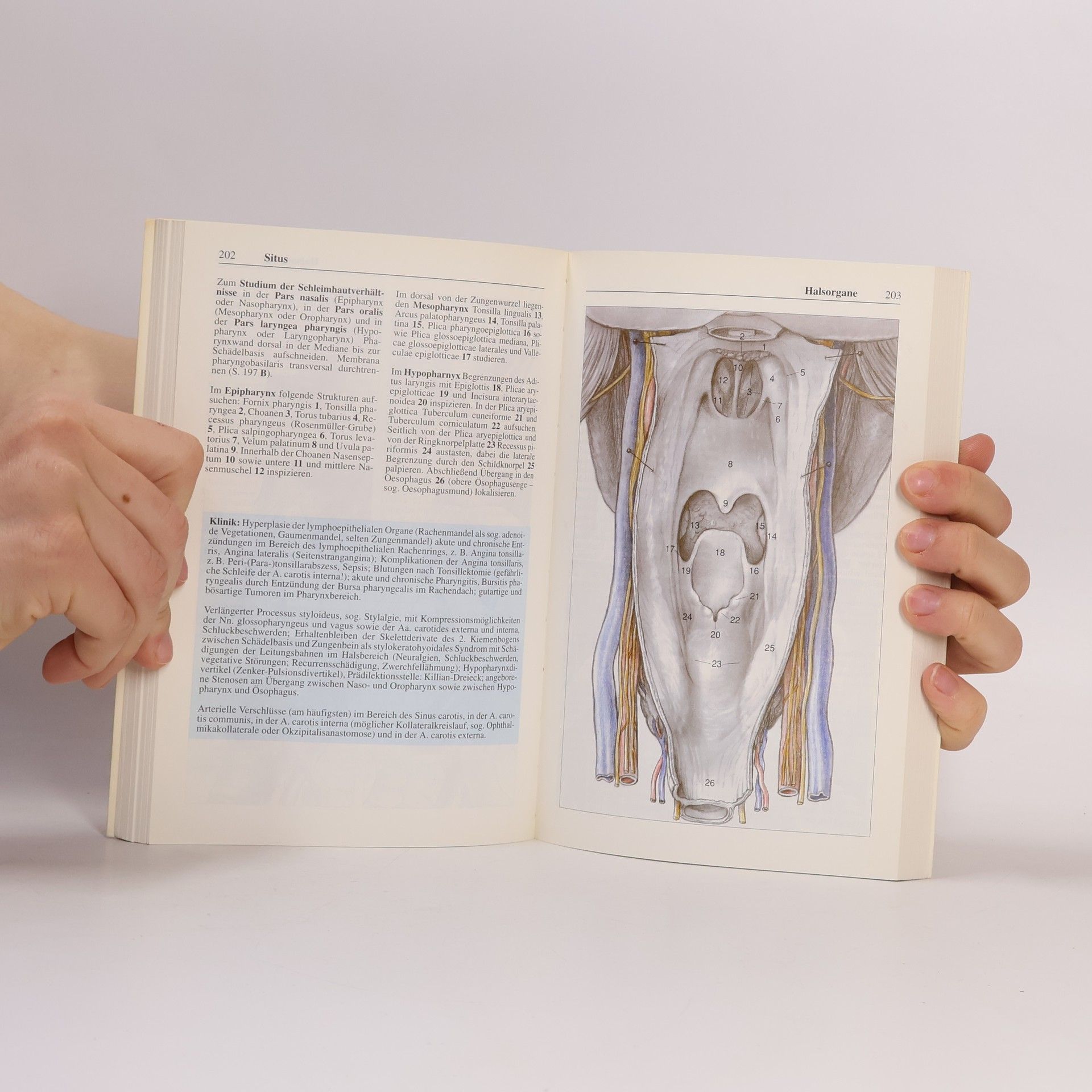 Bernhard Tillmann Taschenatlas zum Präparierkurs