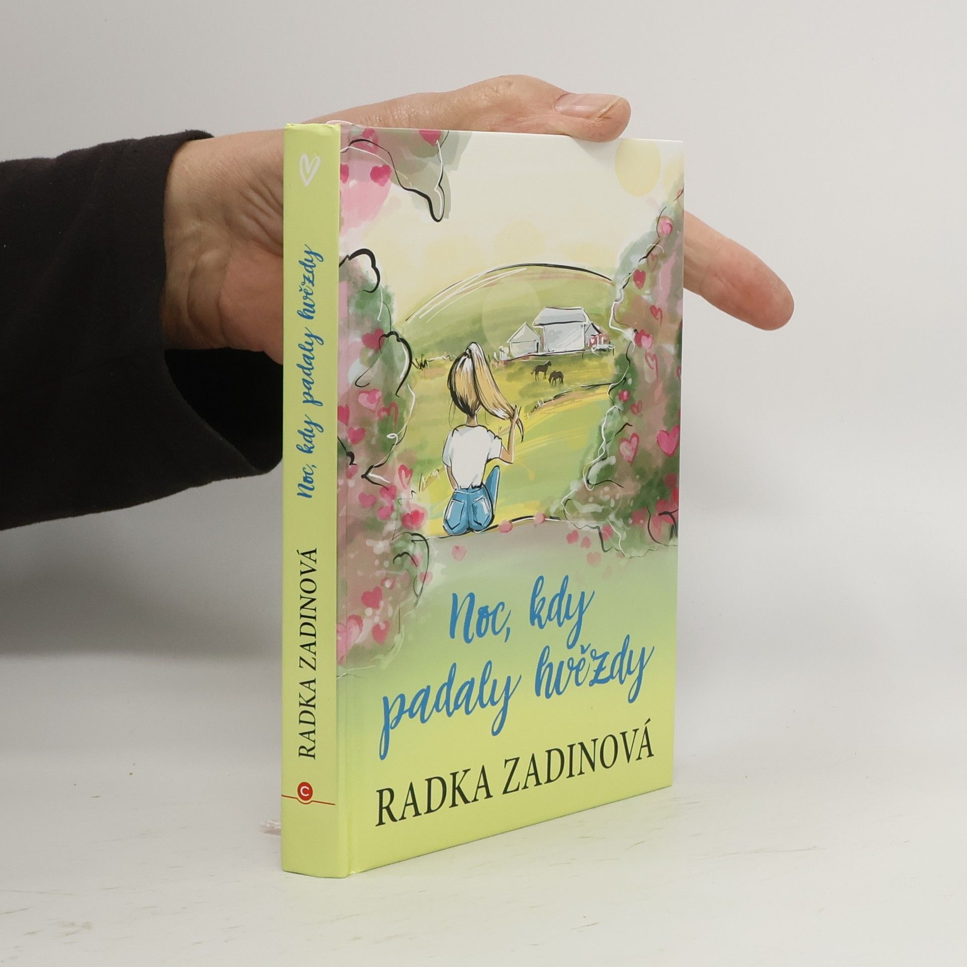 Radka Zadinová Noc, kdy padaly hvězdy
