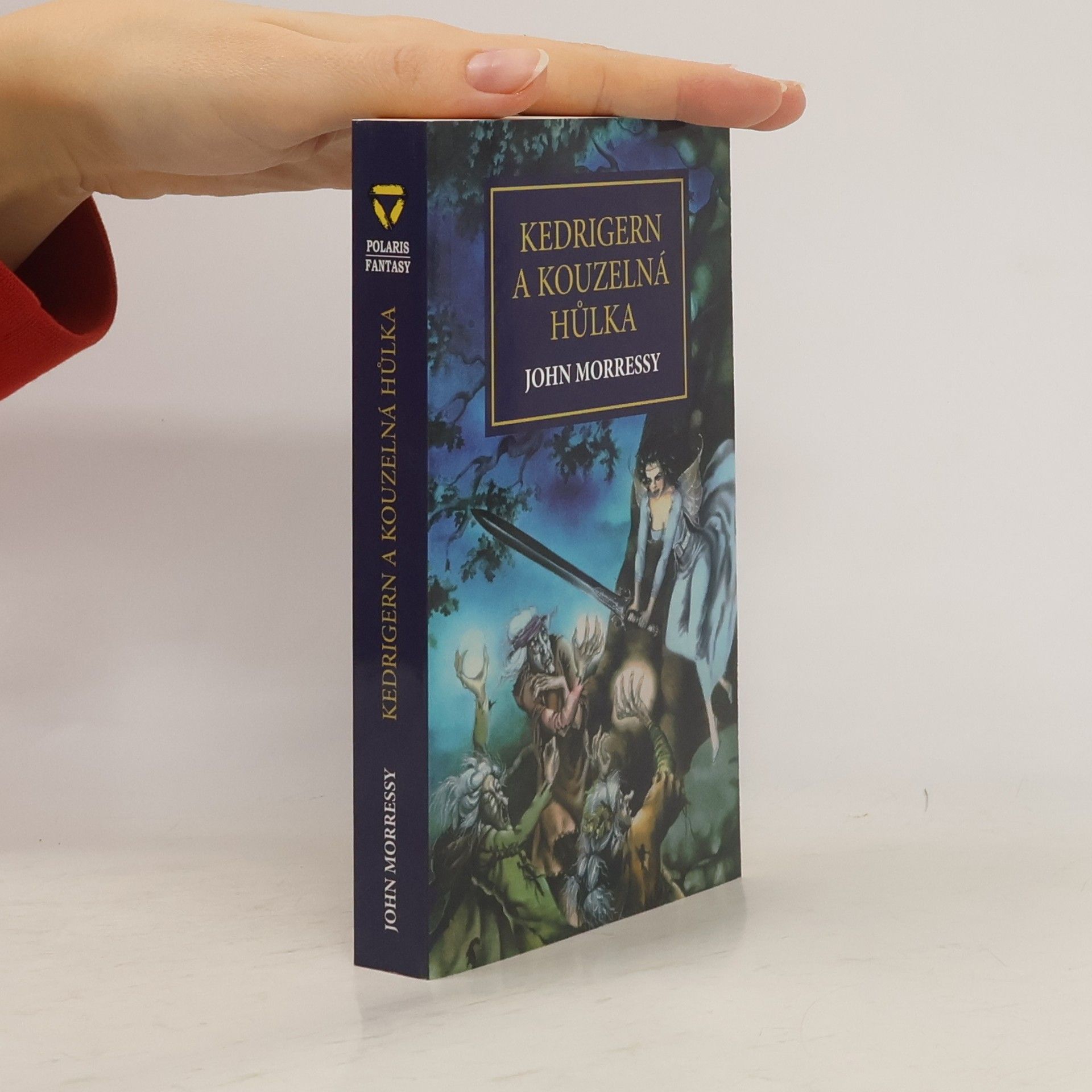 John Morressy Kedrigern a kouzelná hůlka