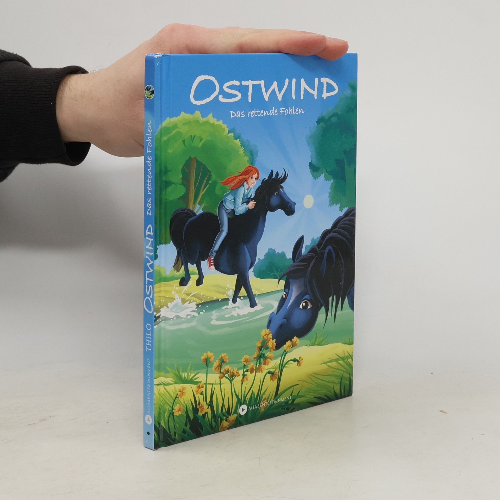 Thilo Petry-Lassak Ostwind - Das rettende Fohlen