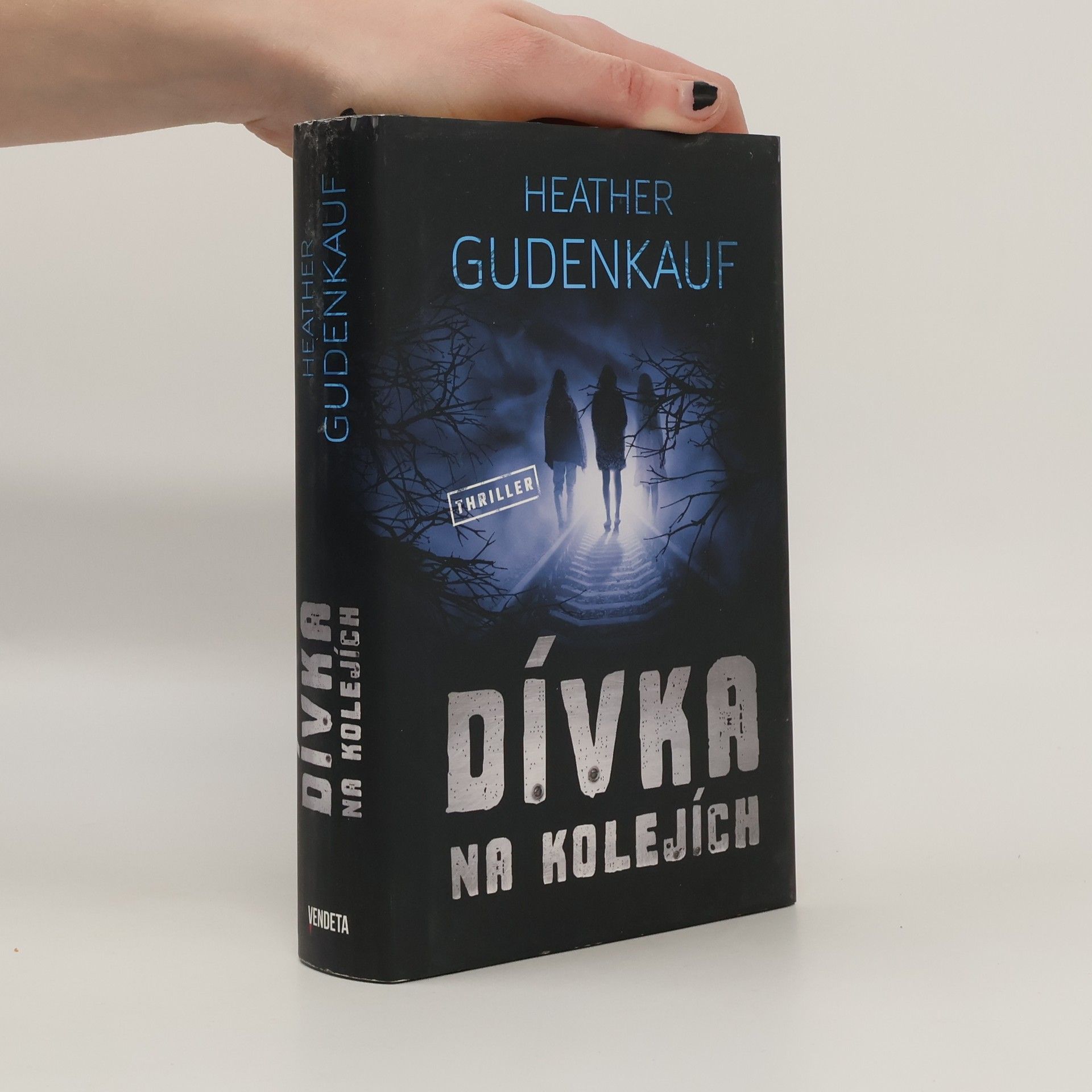 Heather Gudenkauf Dívka na kolejích