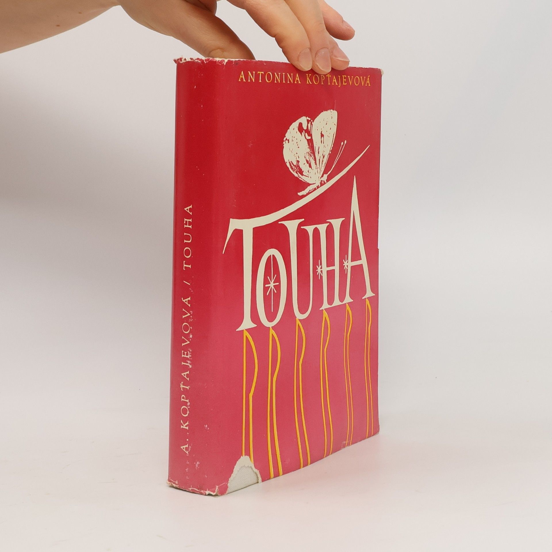 Antonína Kopťajevová Touha 3