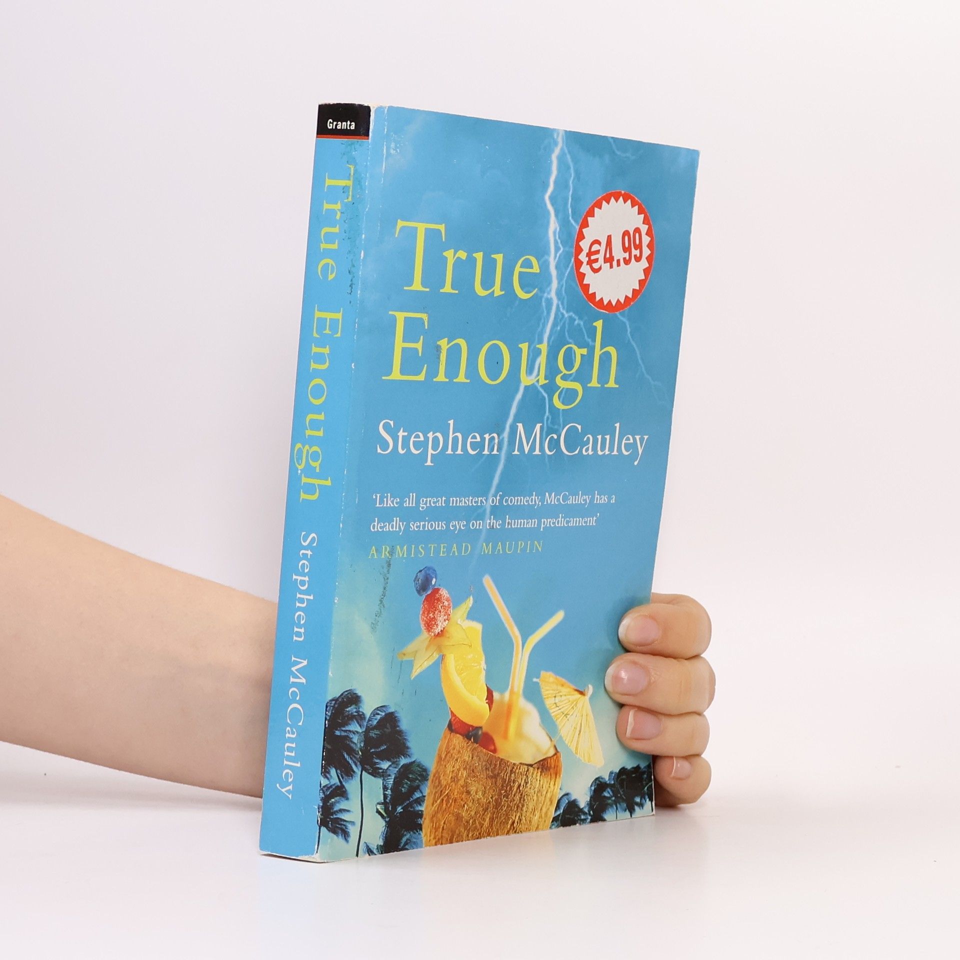 Stephen McCauley True Enough