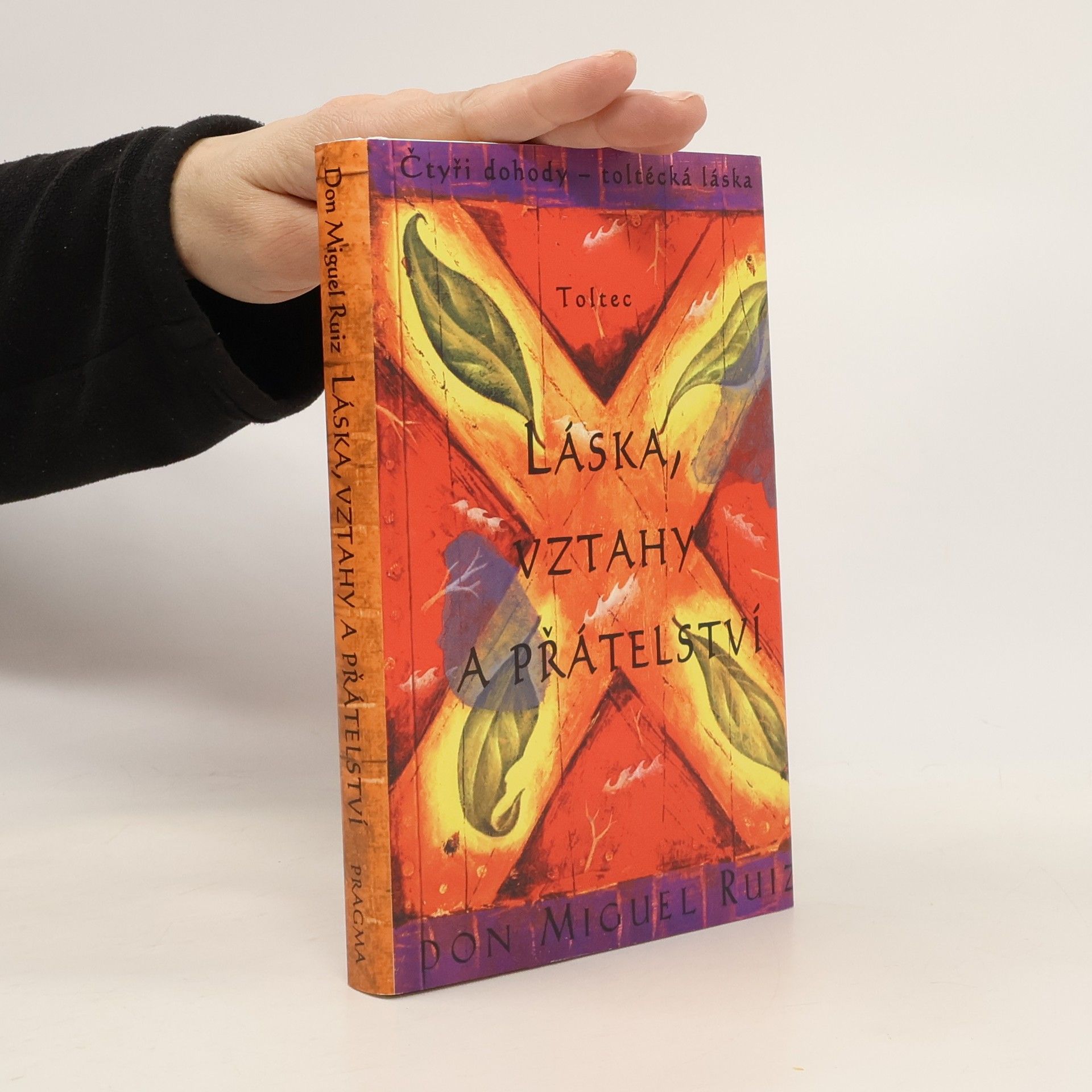 Don Miguel Ruiz Láska, vztahy a přátelství