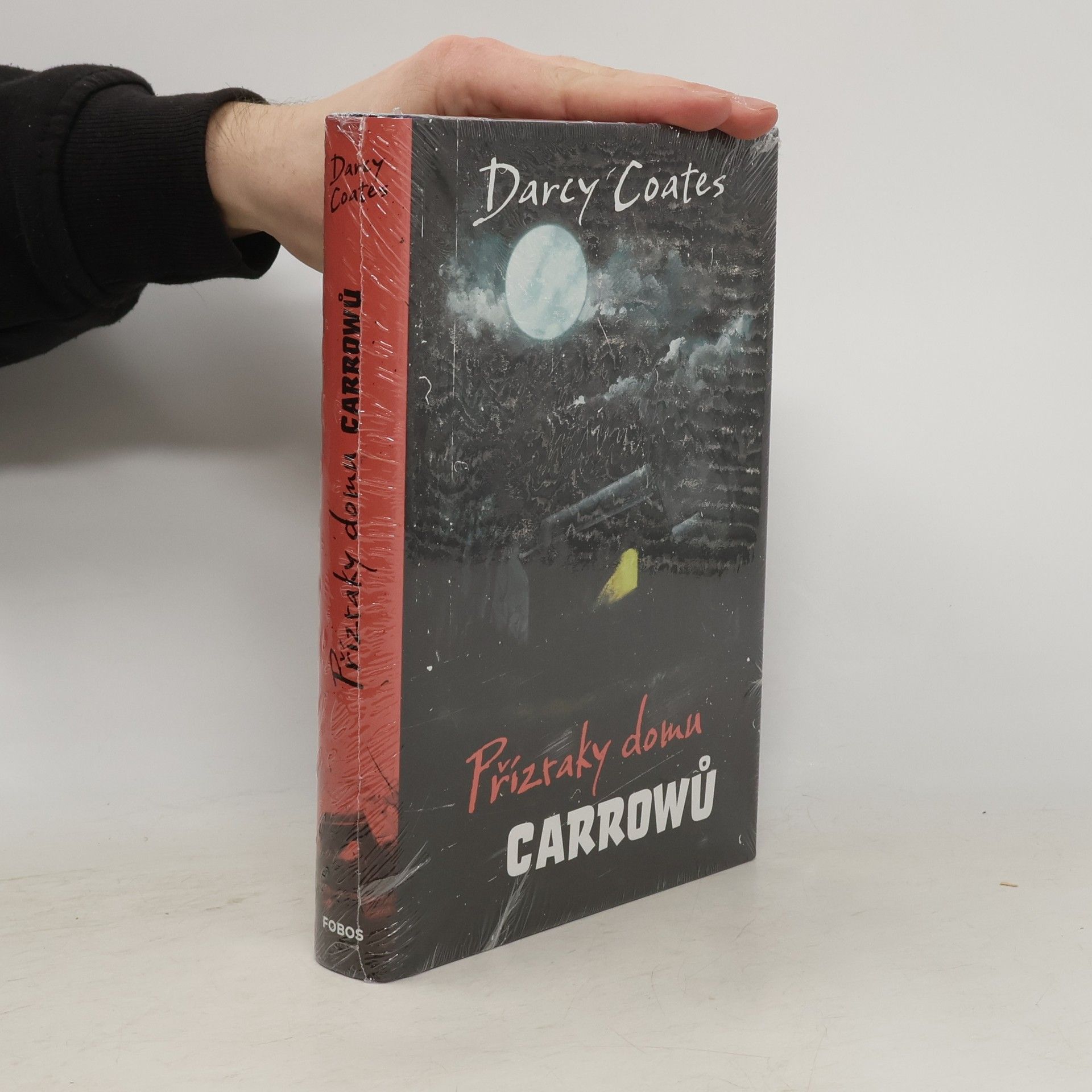 Darcy Coates Přízraky domu Carrowů