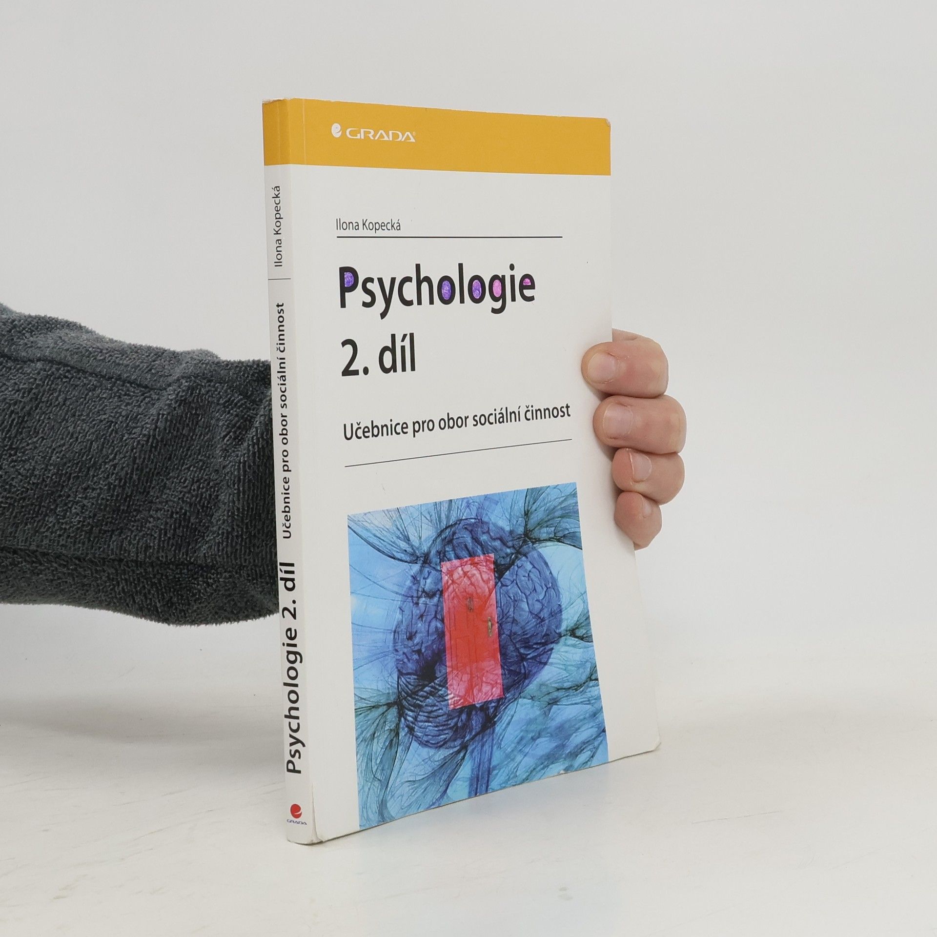 Ilona Kopecká Psychologie : učebnice pro obor sociální činnost. 2. díl
