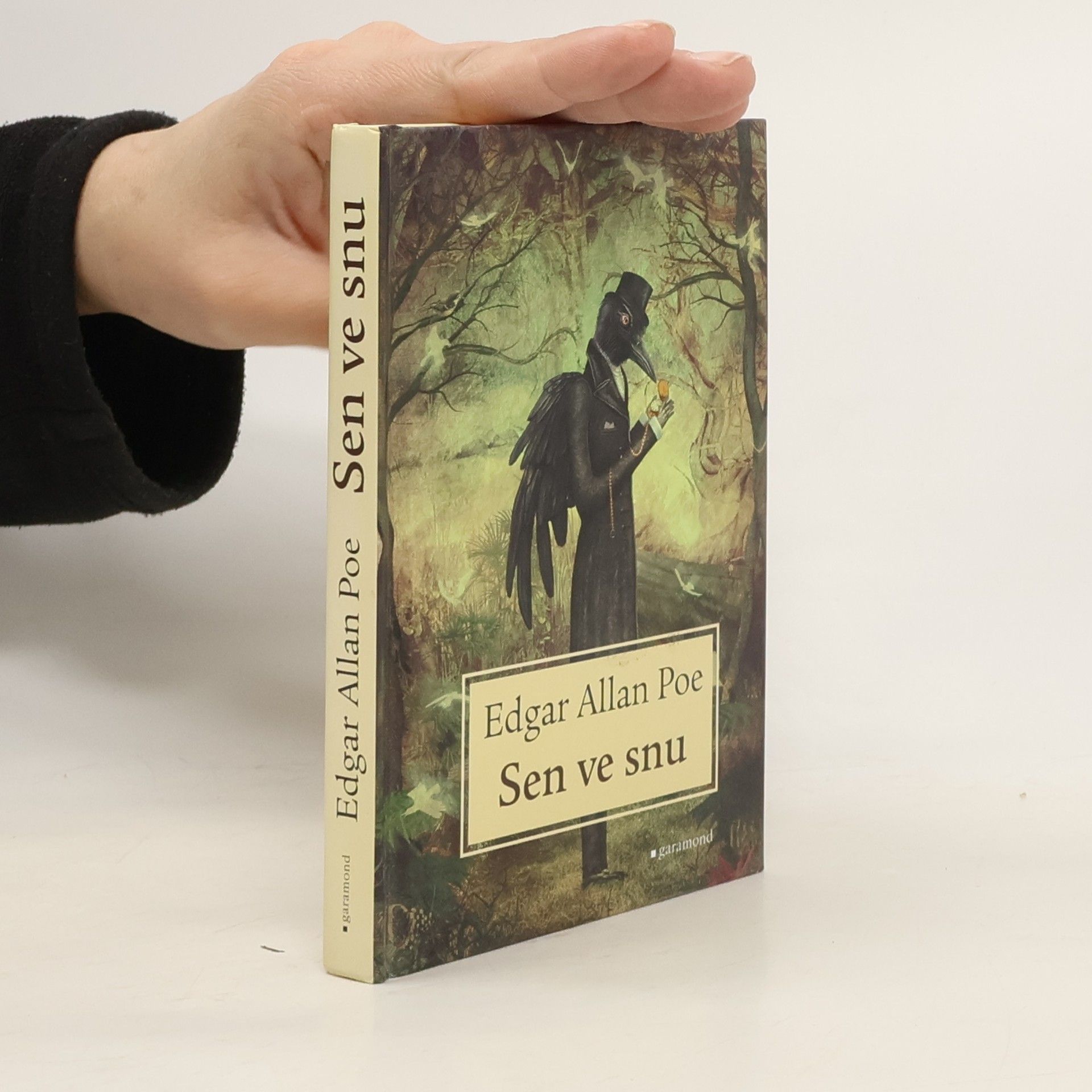 Edgar Allan Poe Sen ve snu