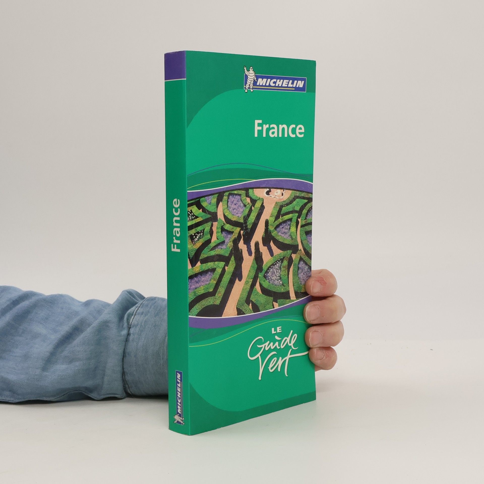 Martin Balédent Le Guide Vert France