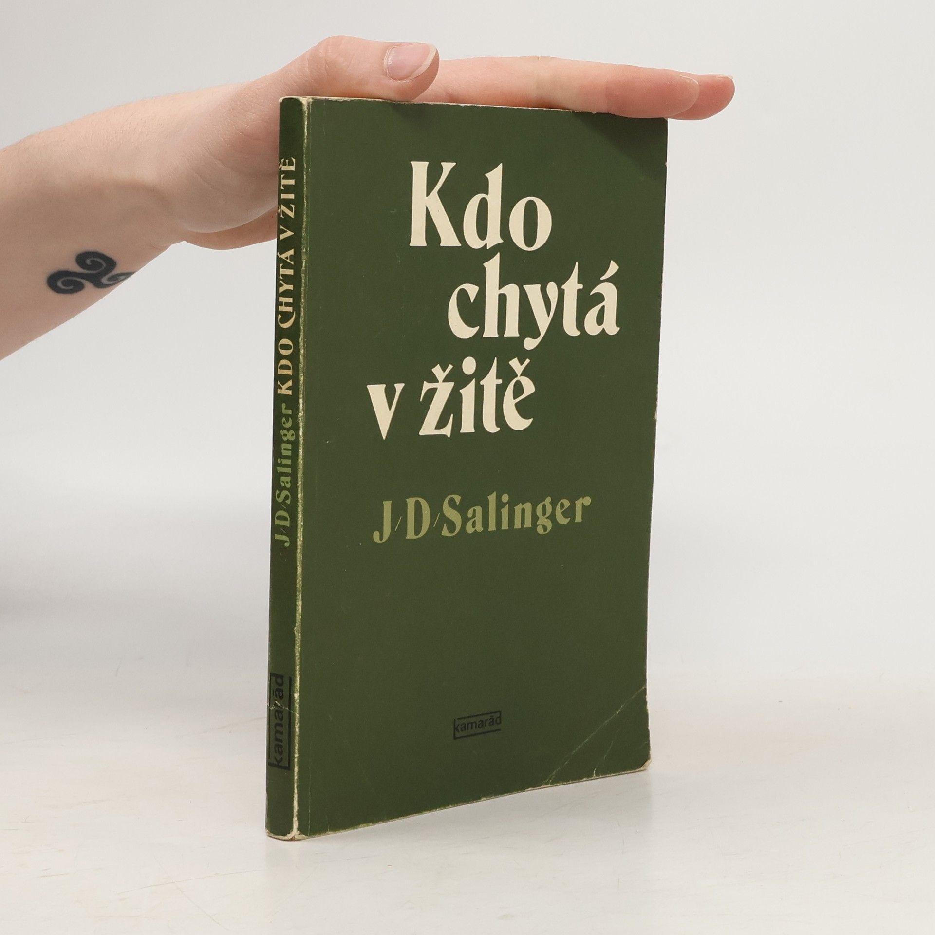 J. D. Salinger Kdo chytá v žitě