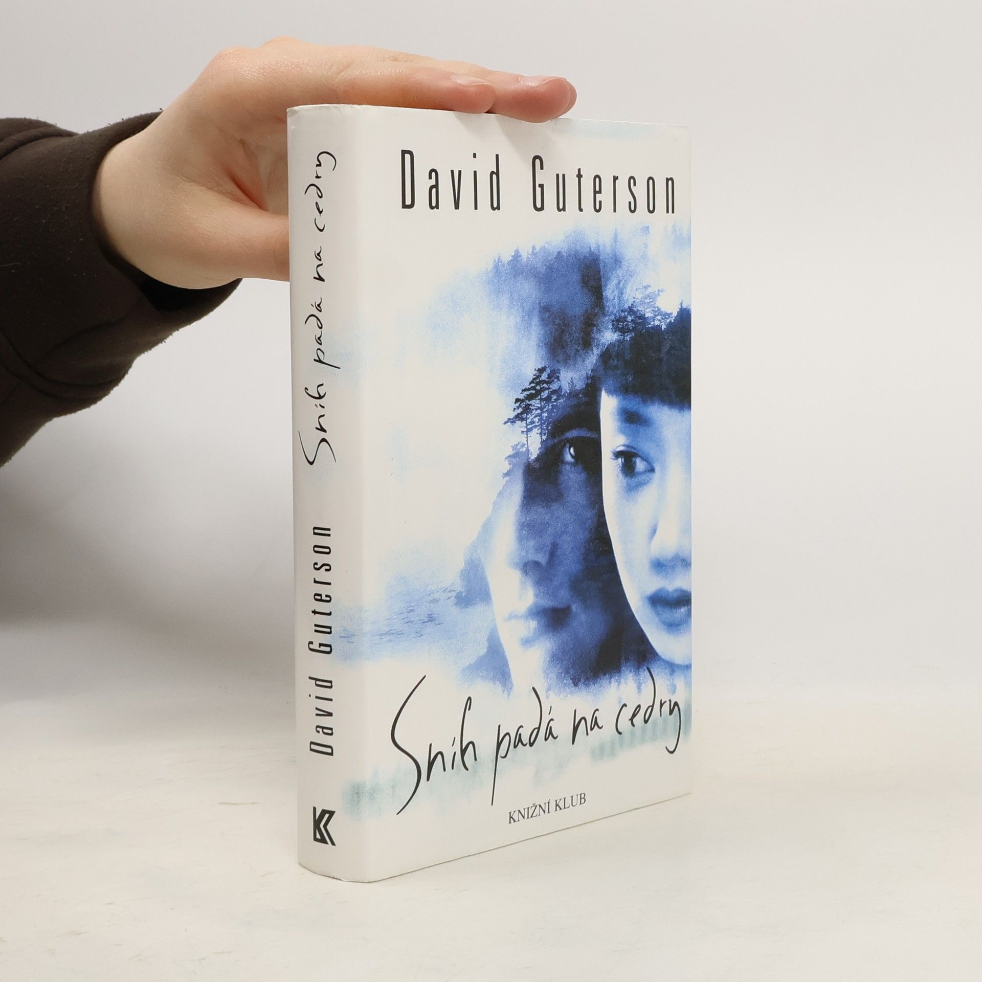 David Guterson Sníh padá na cedry