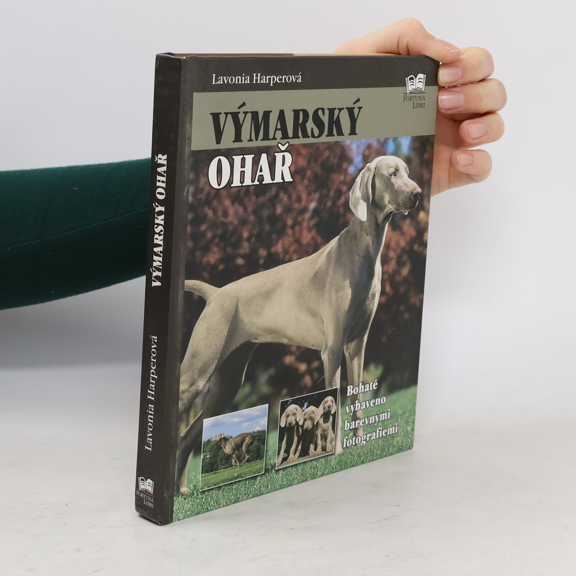 Lavonia Harper Výmarský ohař