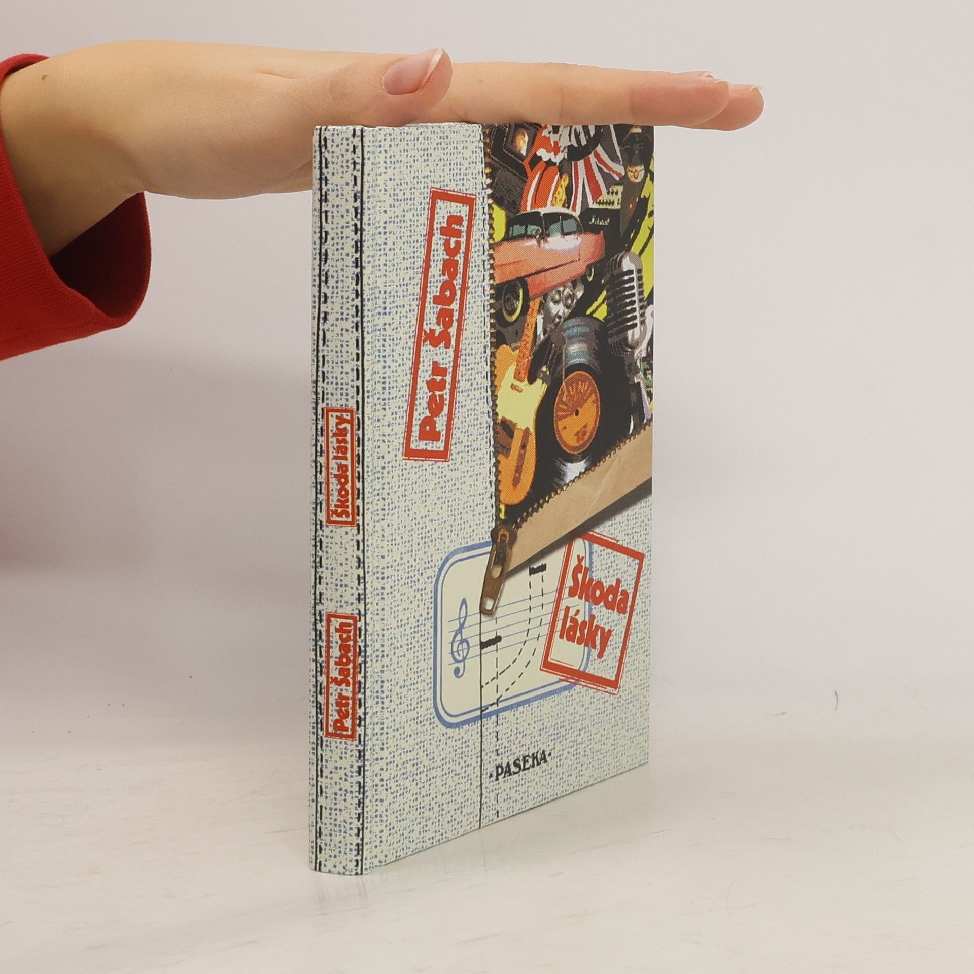 Petr Šabach Škoda lásky