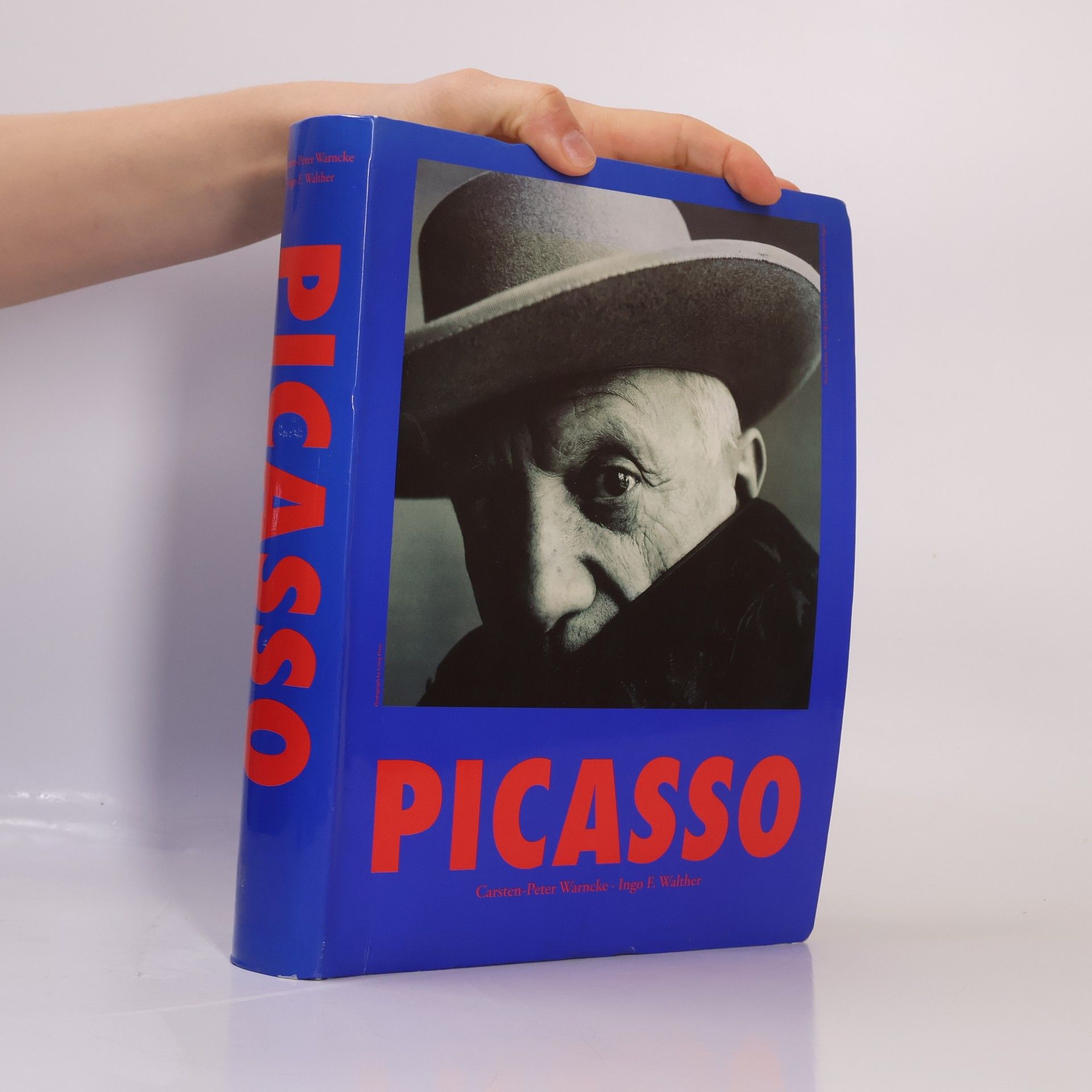 Carsten-Peter Warncke Pablo Picasso
