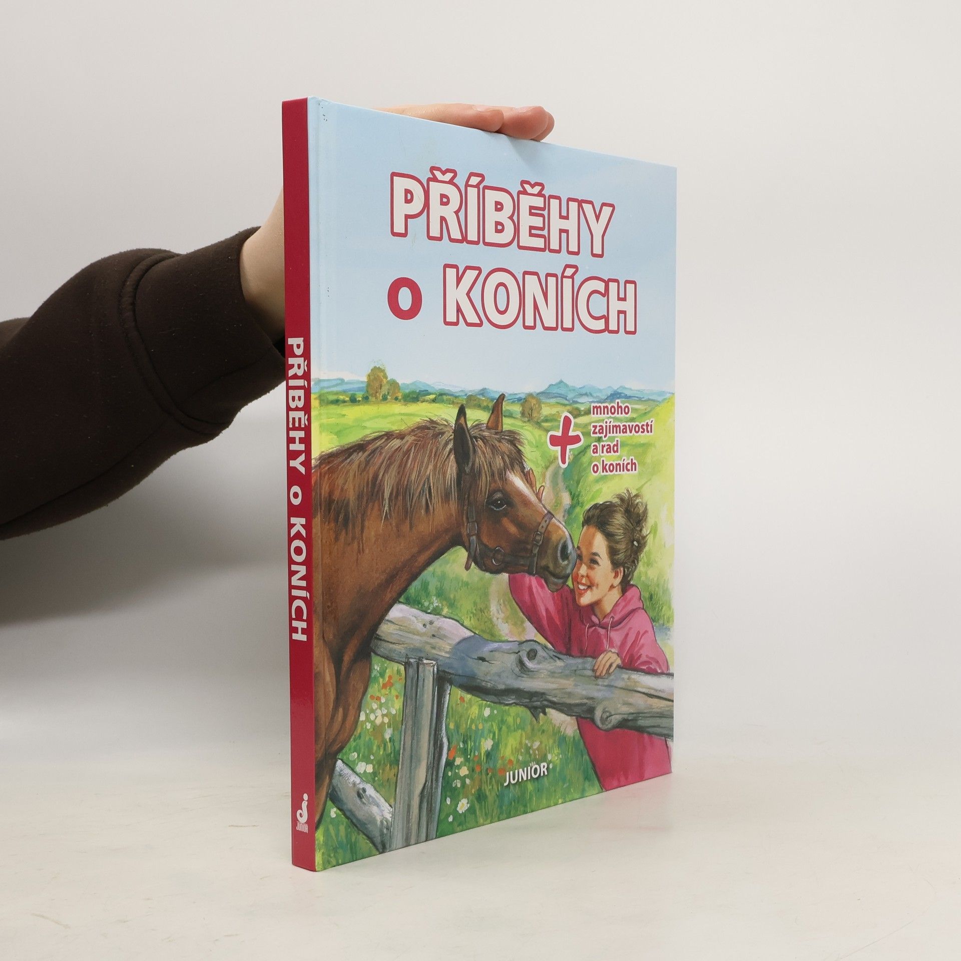 Auteurscollectief Příběhy o koních