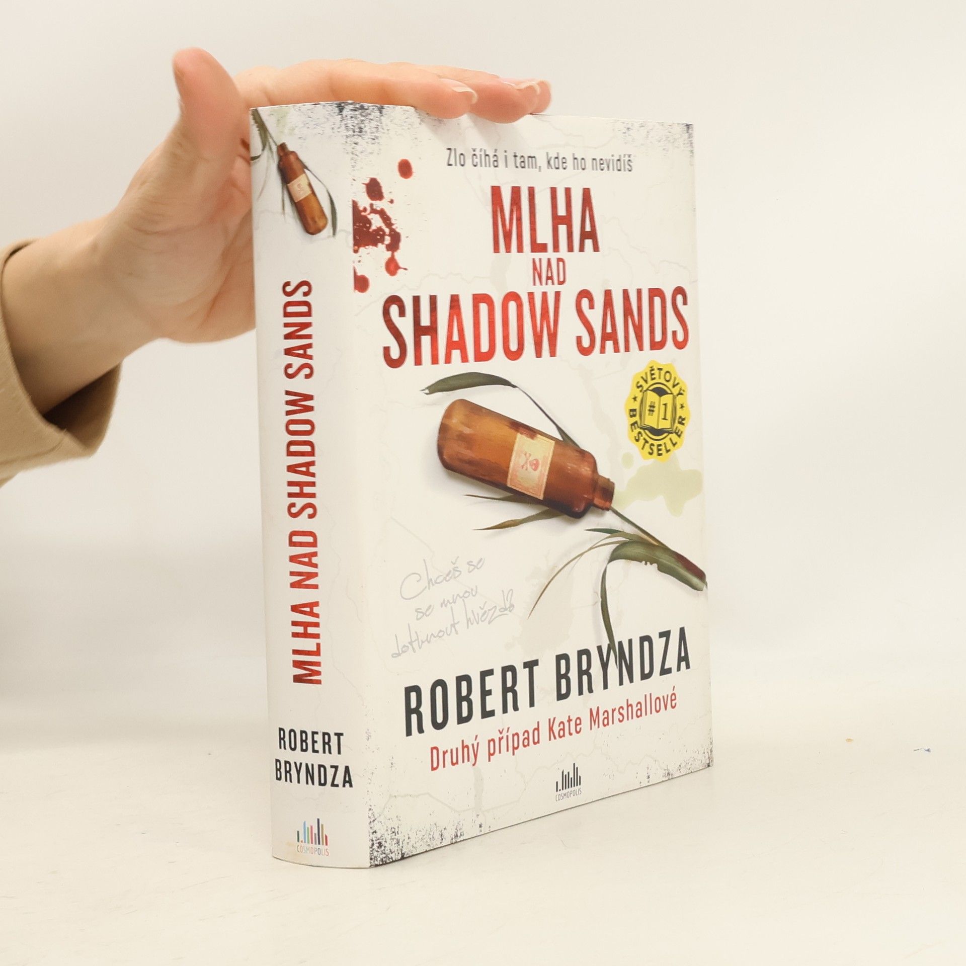 Robert Bryndza Mlha nad Shadow Sands