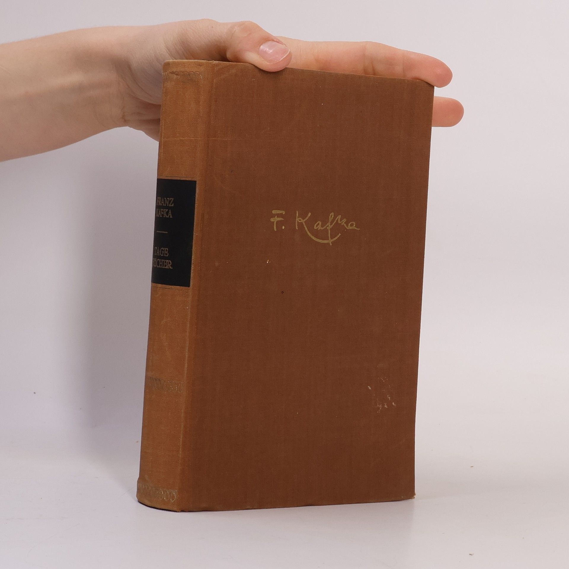 Franz Kafka Tagebücher