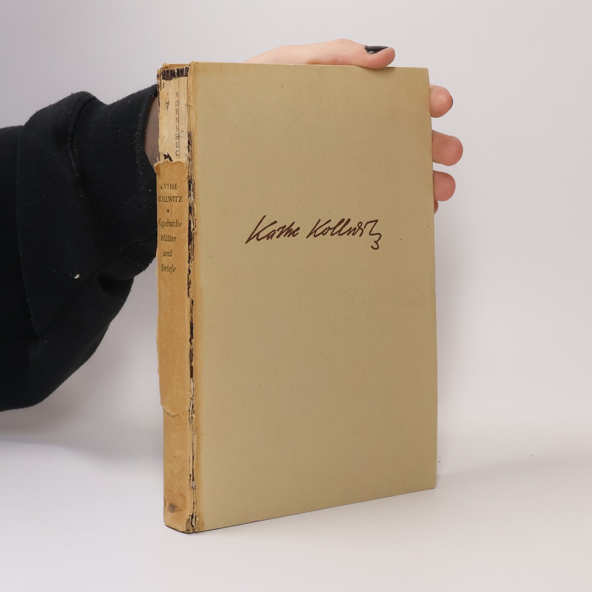 Käthe Kollwitz Tagebuchblätter und Briefe