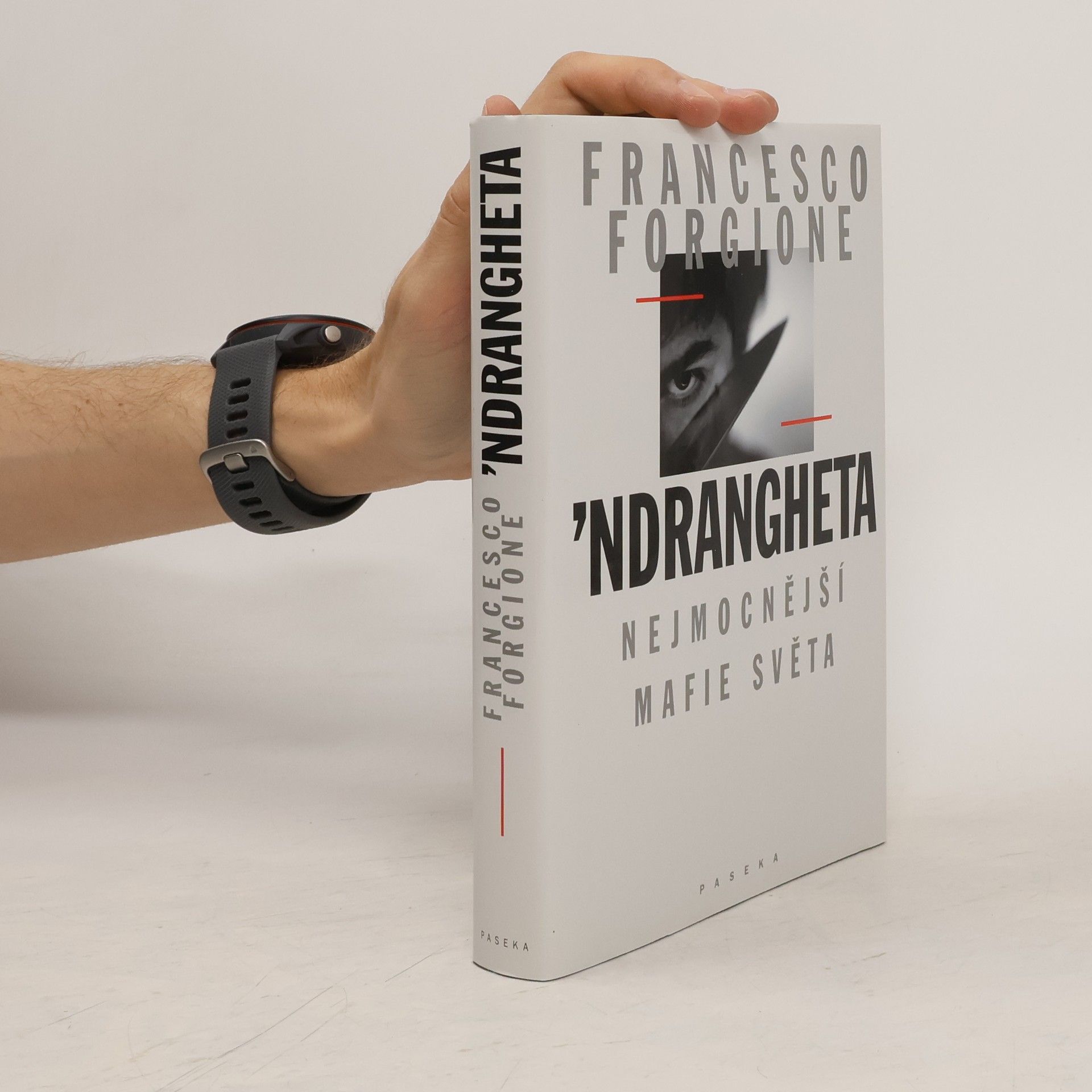 Francesco Forgione 'Ndrangheta: Nejmocnější mafie světa