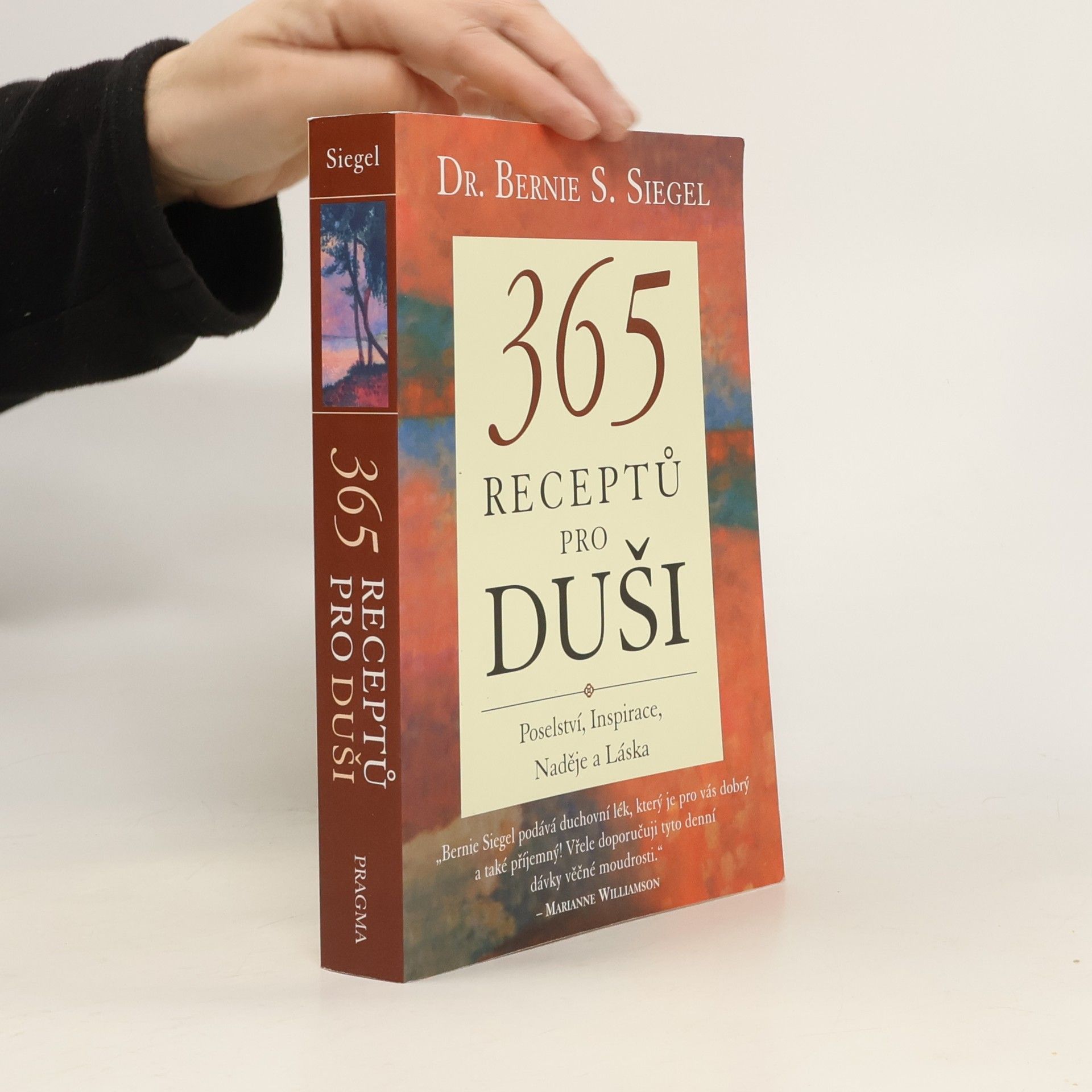 Bernie Siegel 365 receptů pro duši: Poselství, inspirace, naděje a láska