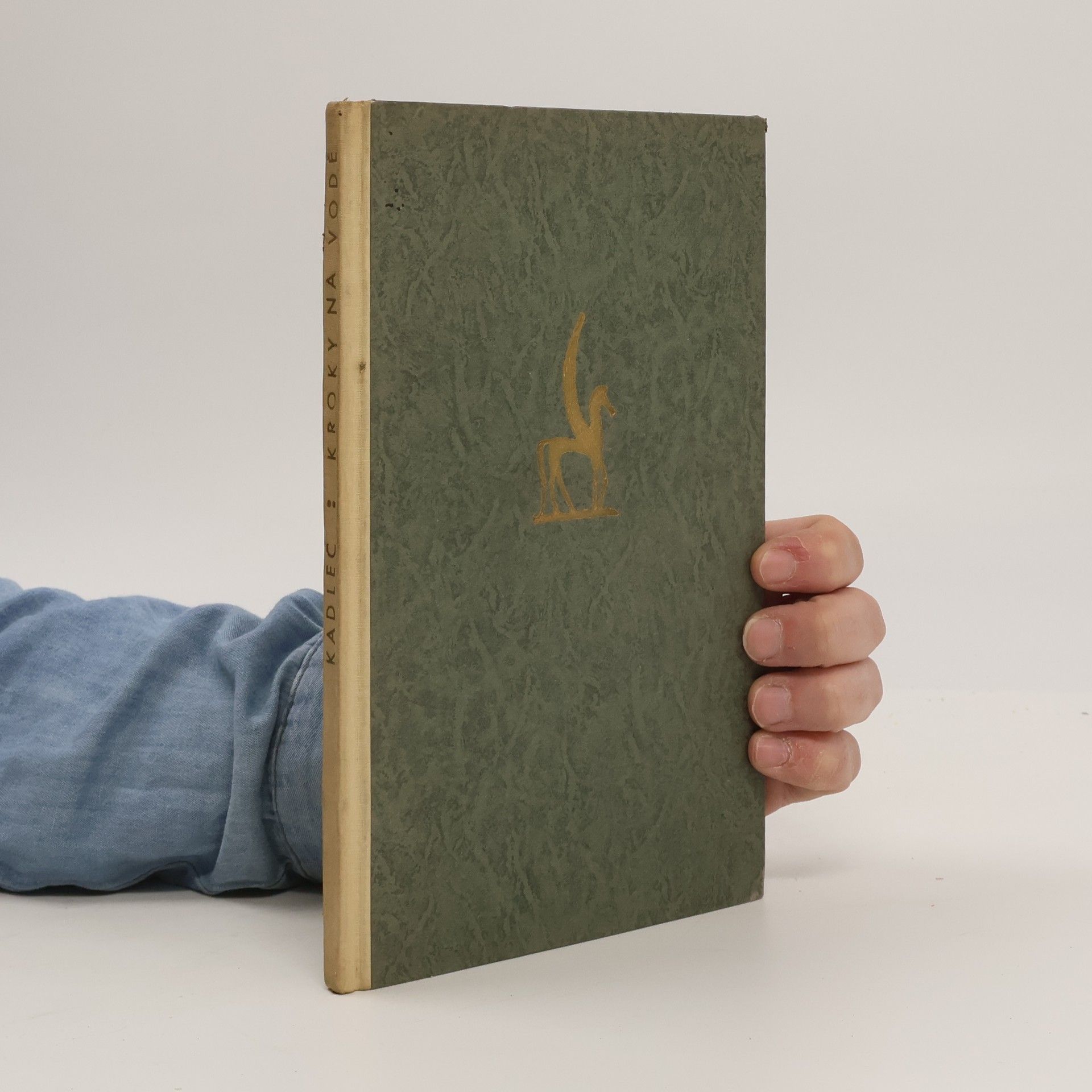 Bedřich Fučík Sbírka poesie Tvar