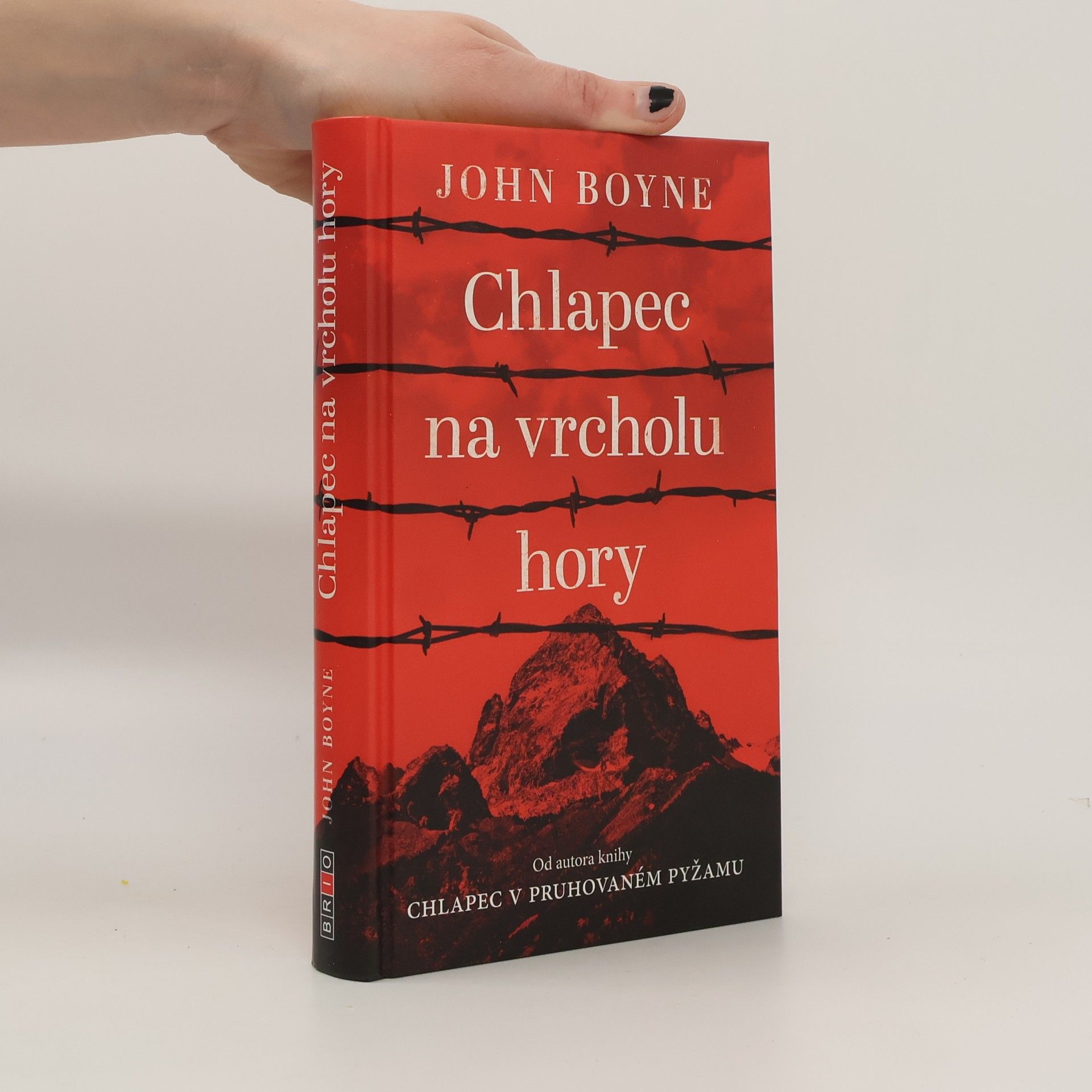 John Boyne Chlapec na vrcholu hory