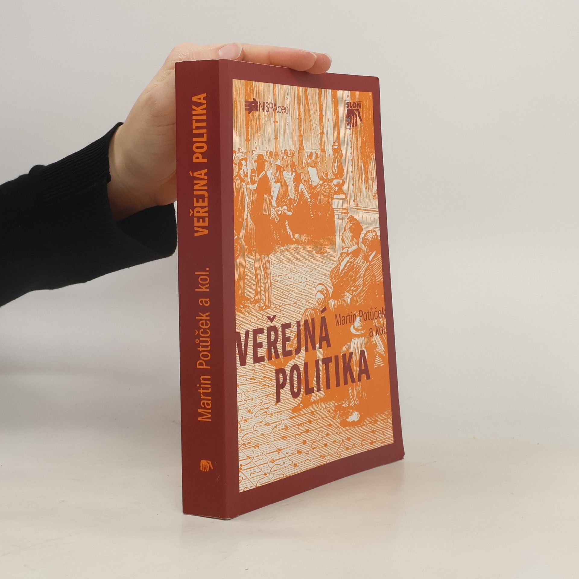 Martin Potůček Veřejná politika