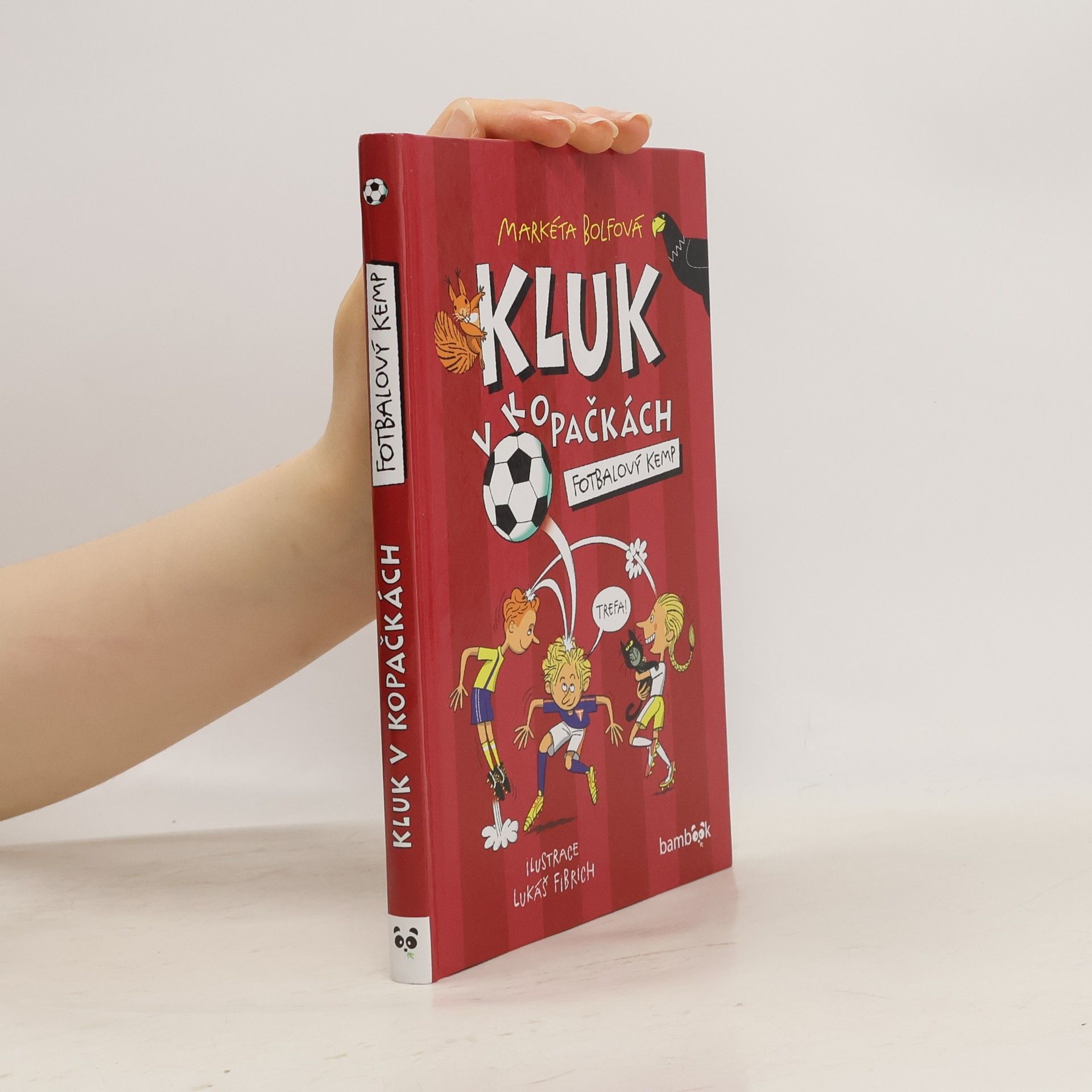 Lubomír Šebesta Kluk v kopačkách – Fotbalový kemp