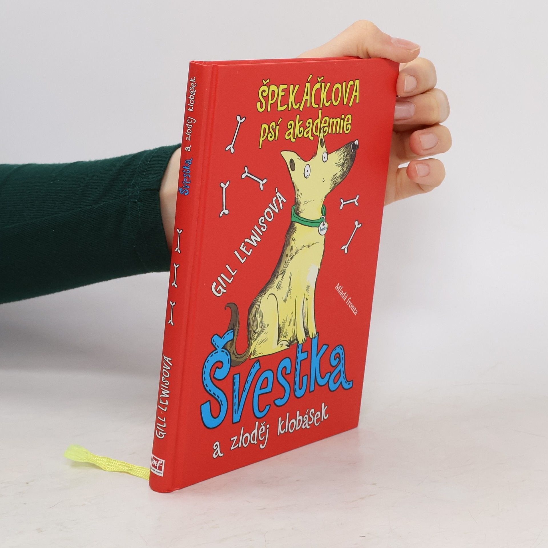 Gill Lewis Švestka a zloděj klobásek
