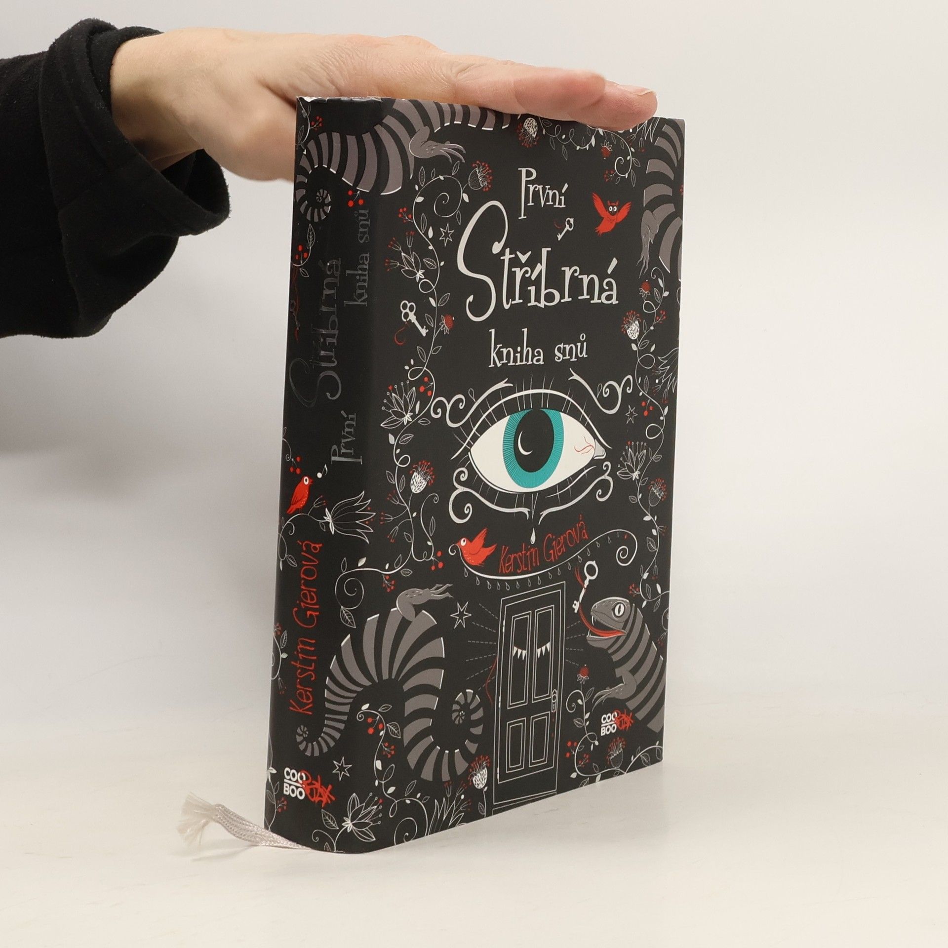 Kerstin Gier První stříbrná kniha snů