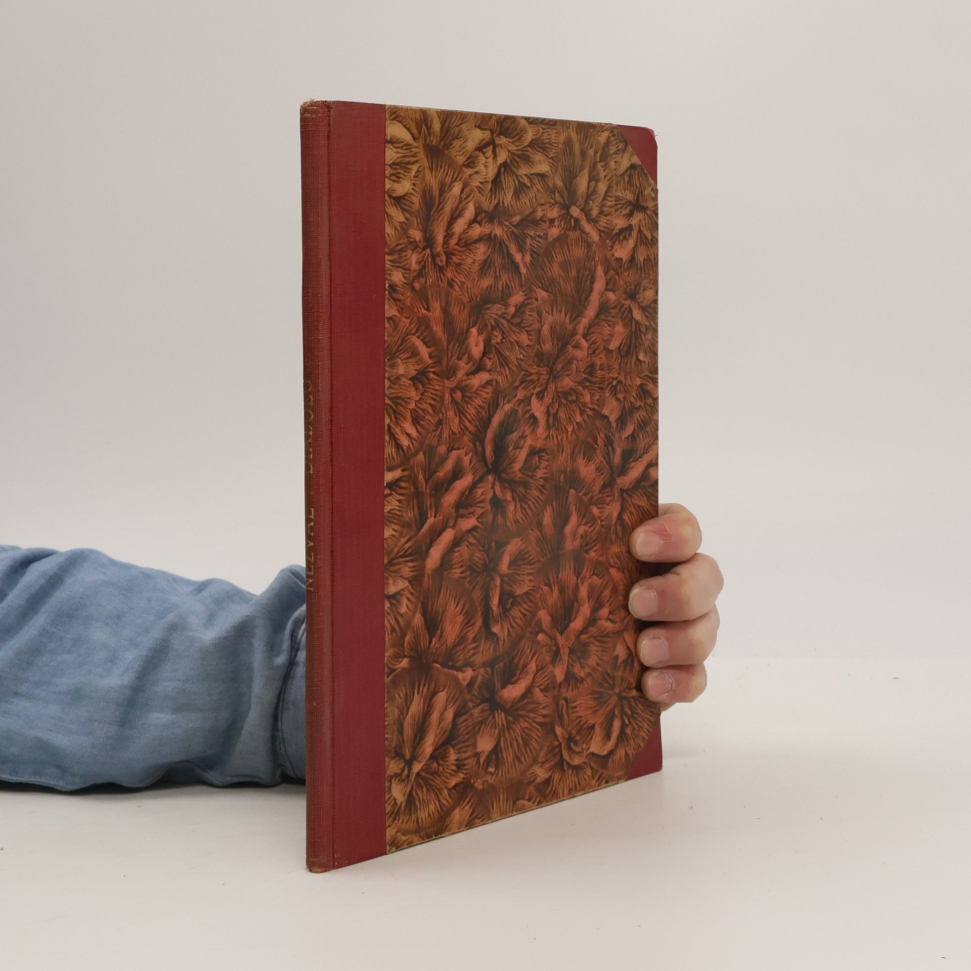 Vítězslav Nezval Diabolo