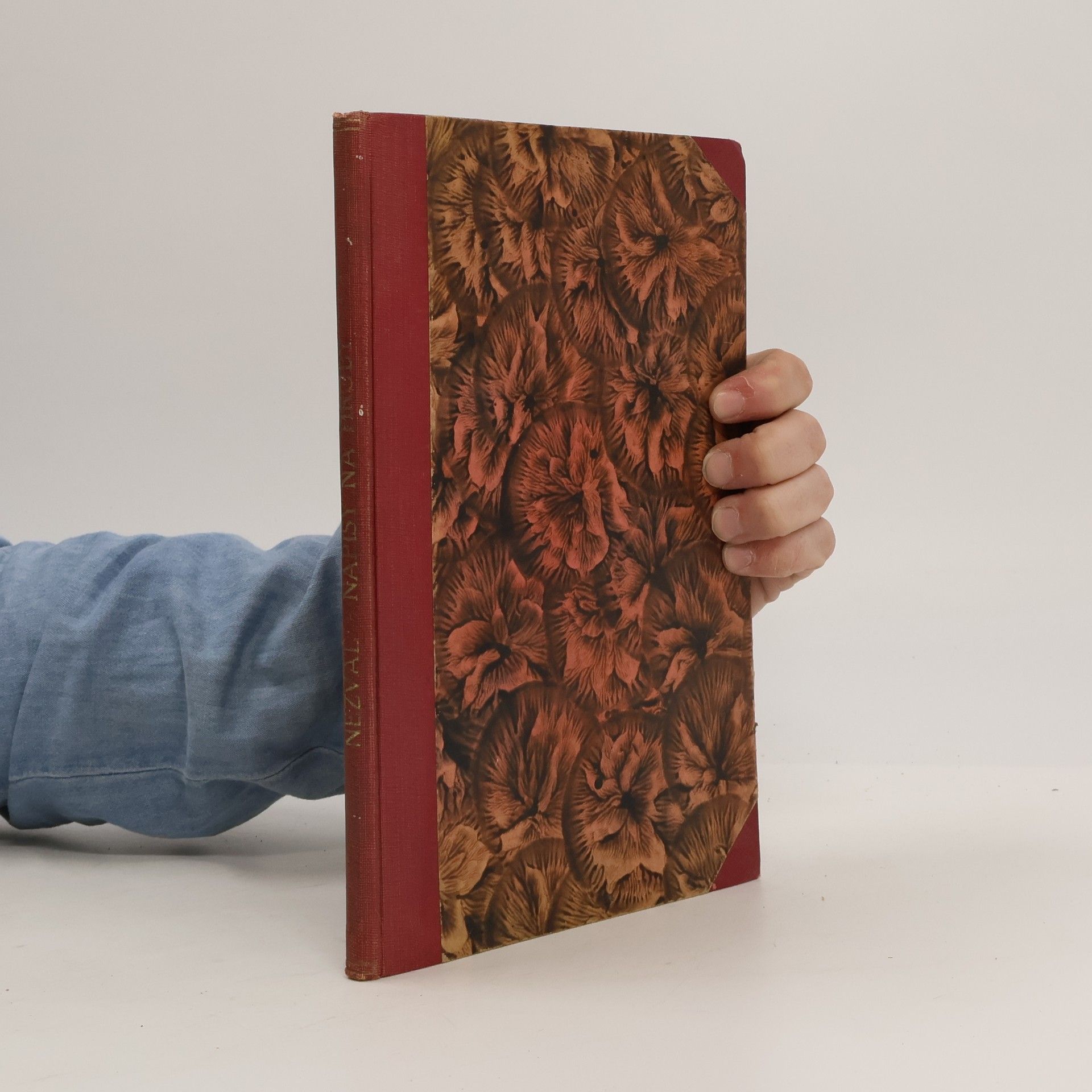 Vítězslav Nezval Nápisy na hroby