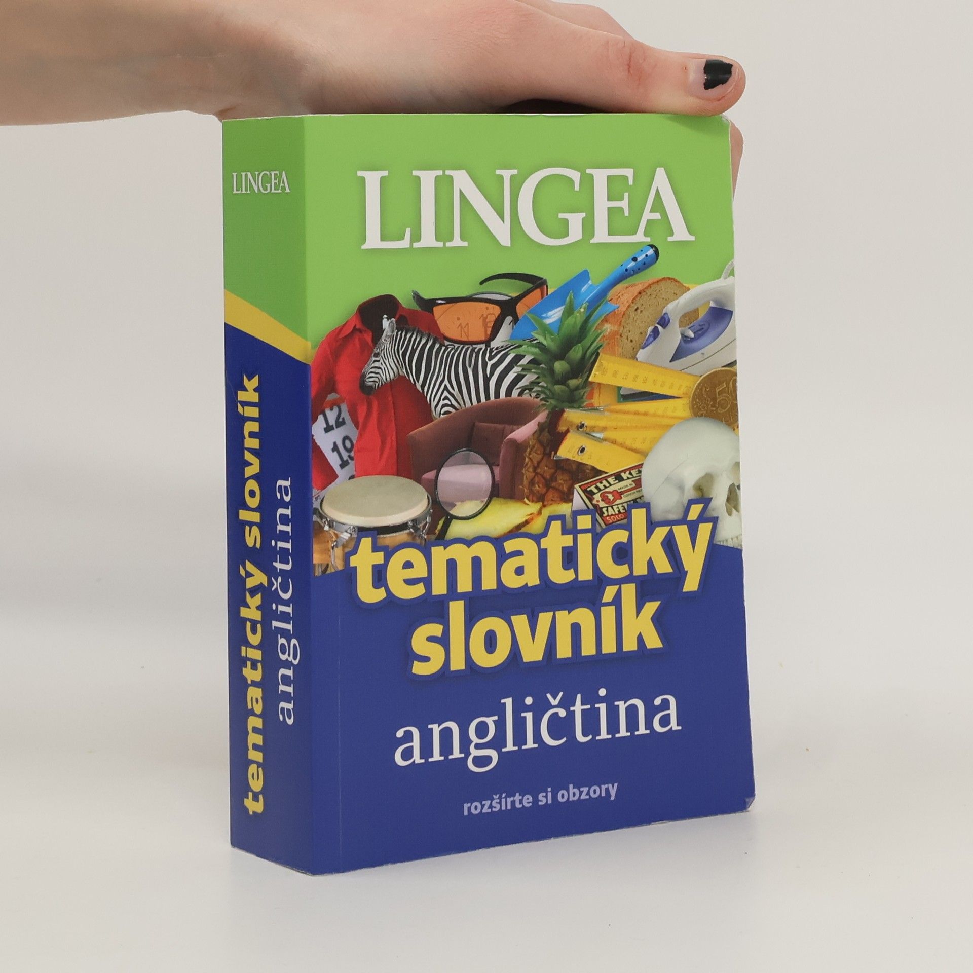 kolektiv Anglický tematický slovník