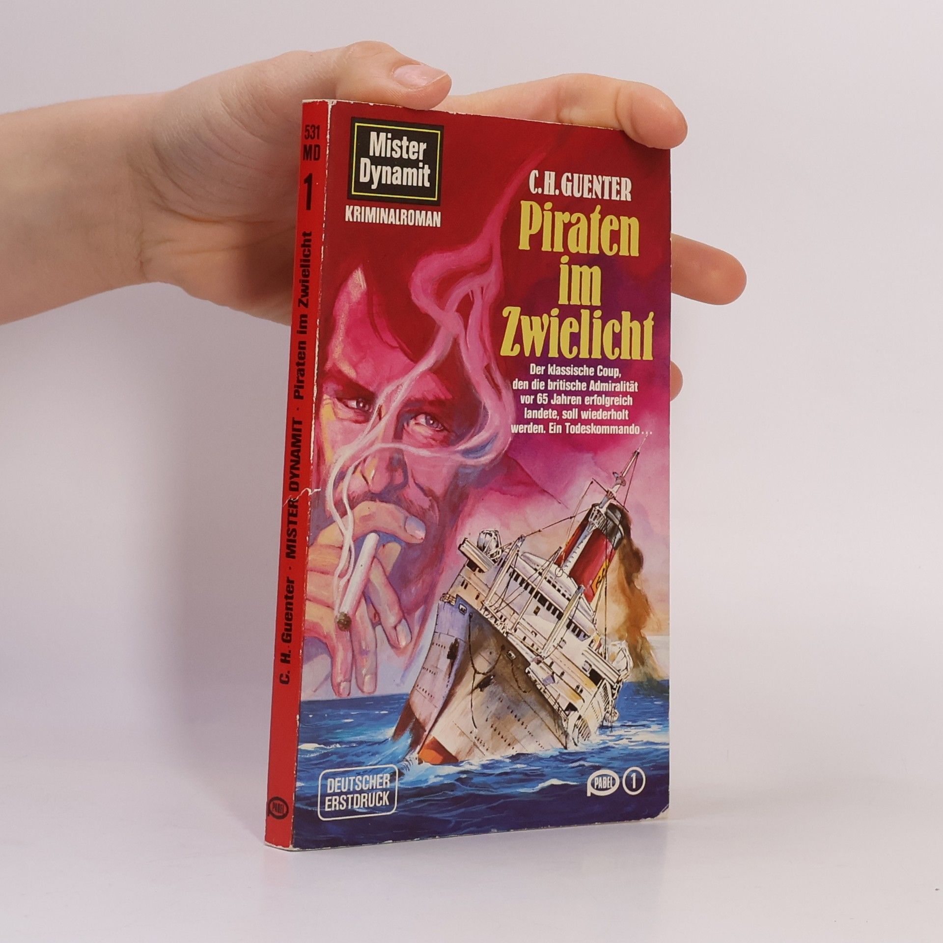 Karl-Heinz Günther Piraten im Zwielicht