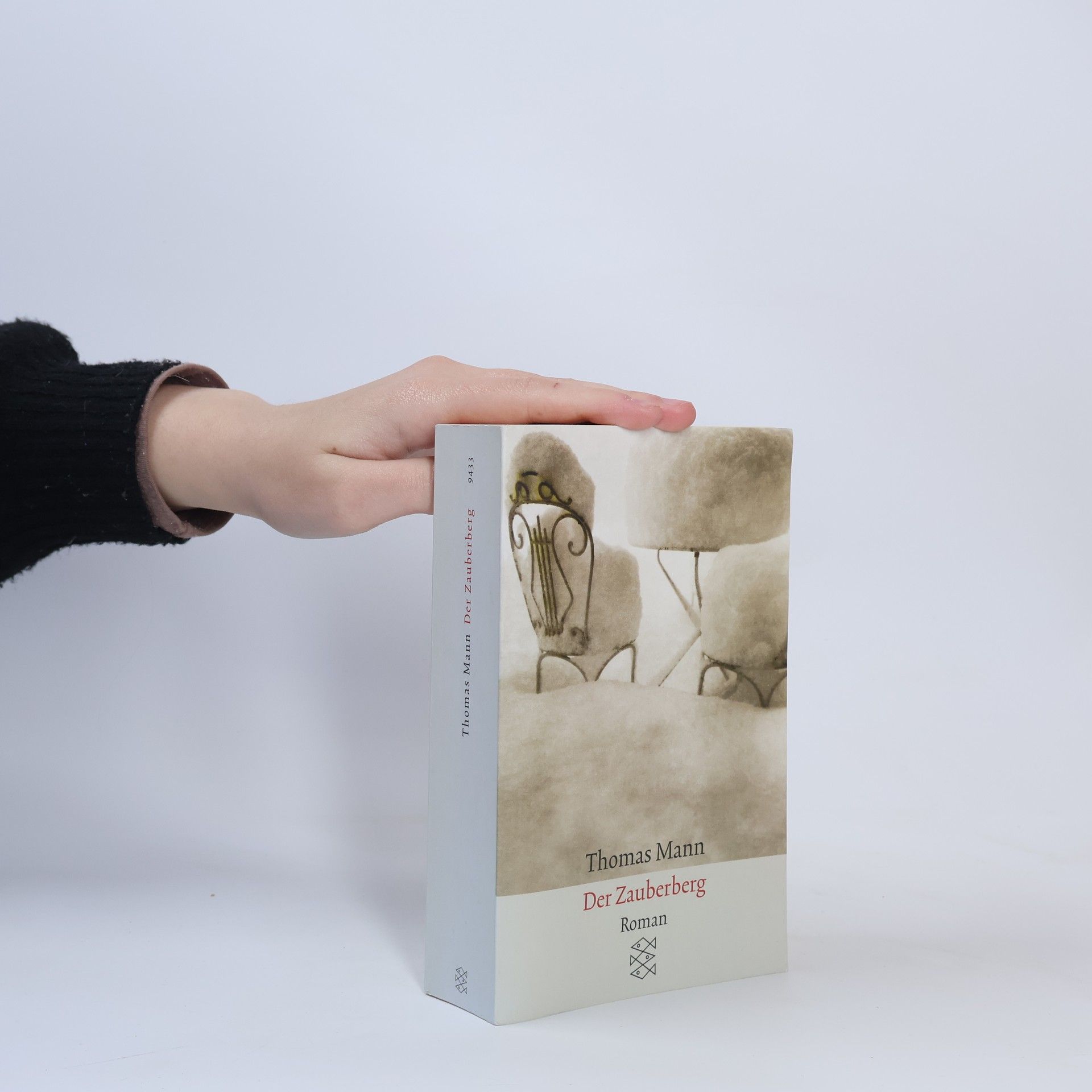 Thomas Mann Der Zauberberg