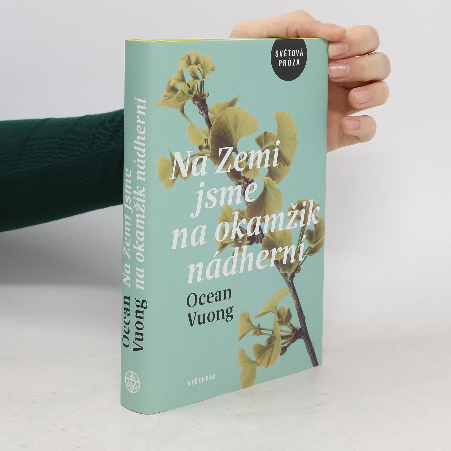 Ocean Vuong Na Zemi jsme na okamžik nádherní