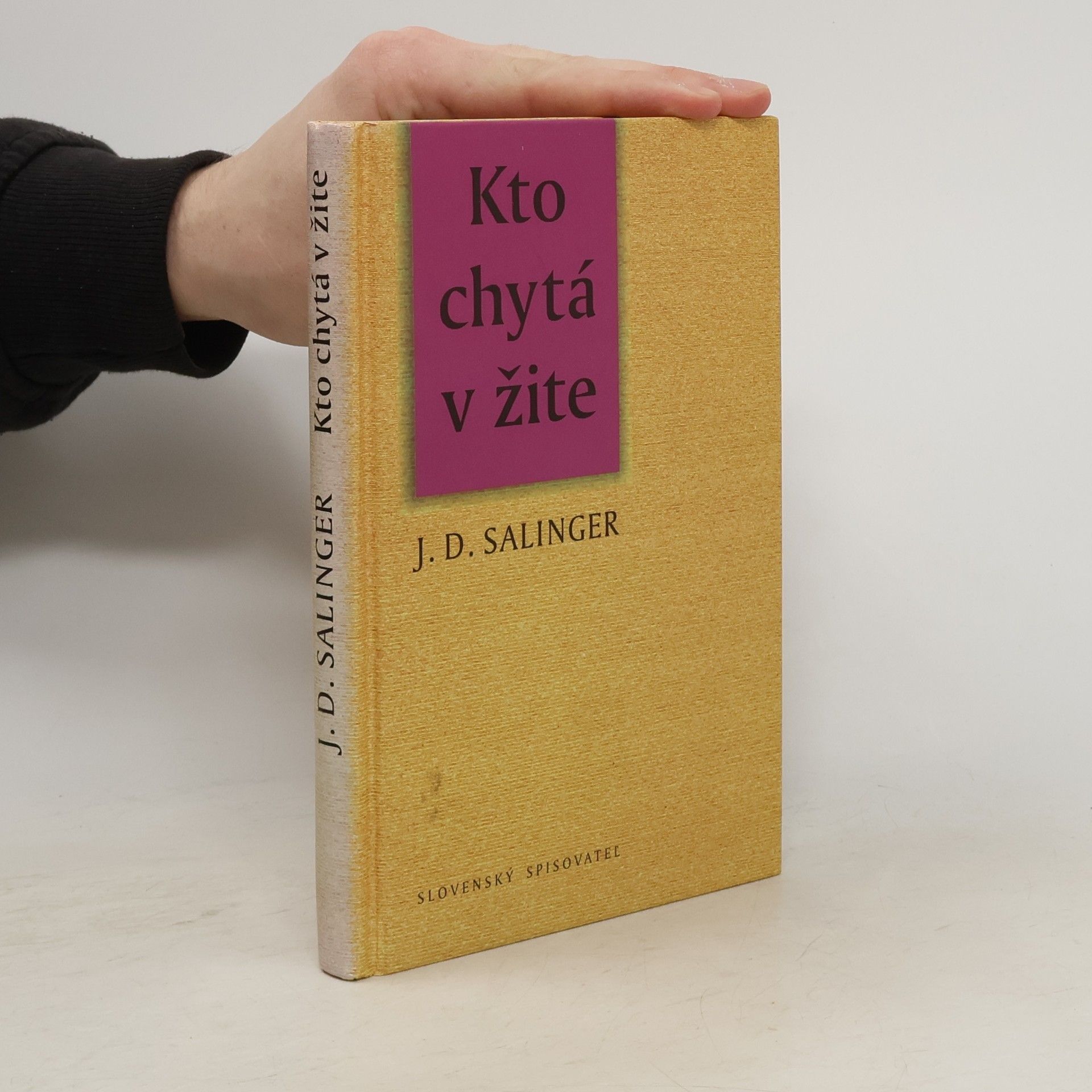 J. D. Salinger Kto chytá v žite