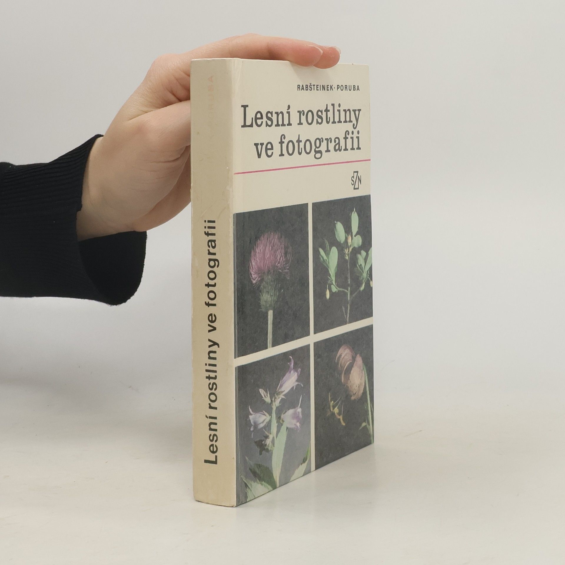 Otomar Rabšteinek Lesní rostliny ve fotografii