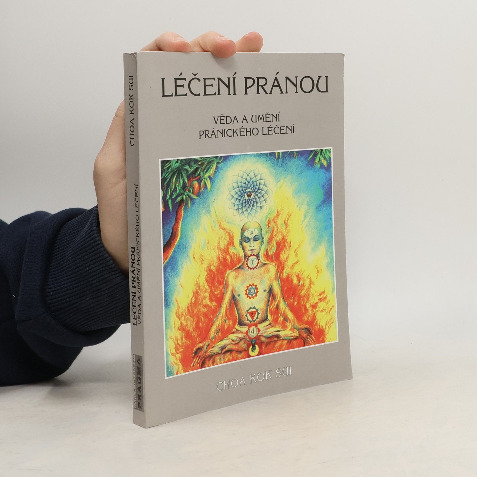Choa Kok Sui Léčení pránou: Věda a umění pránického léčení