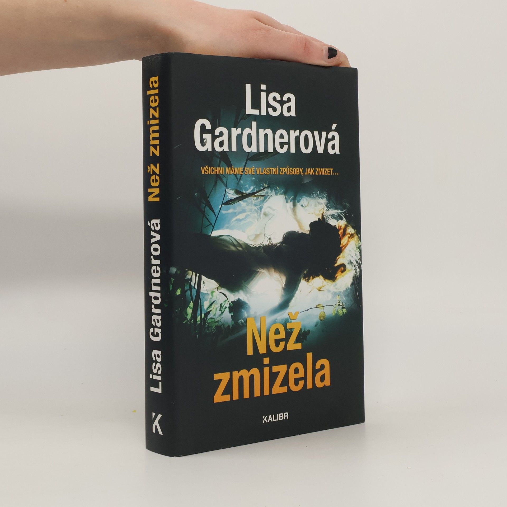 Lisa Gardner Než zmizela