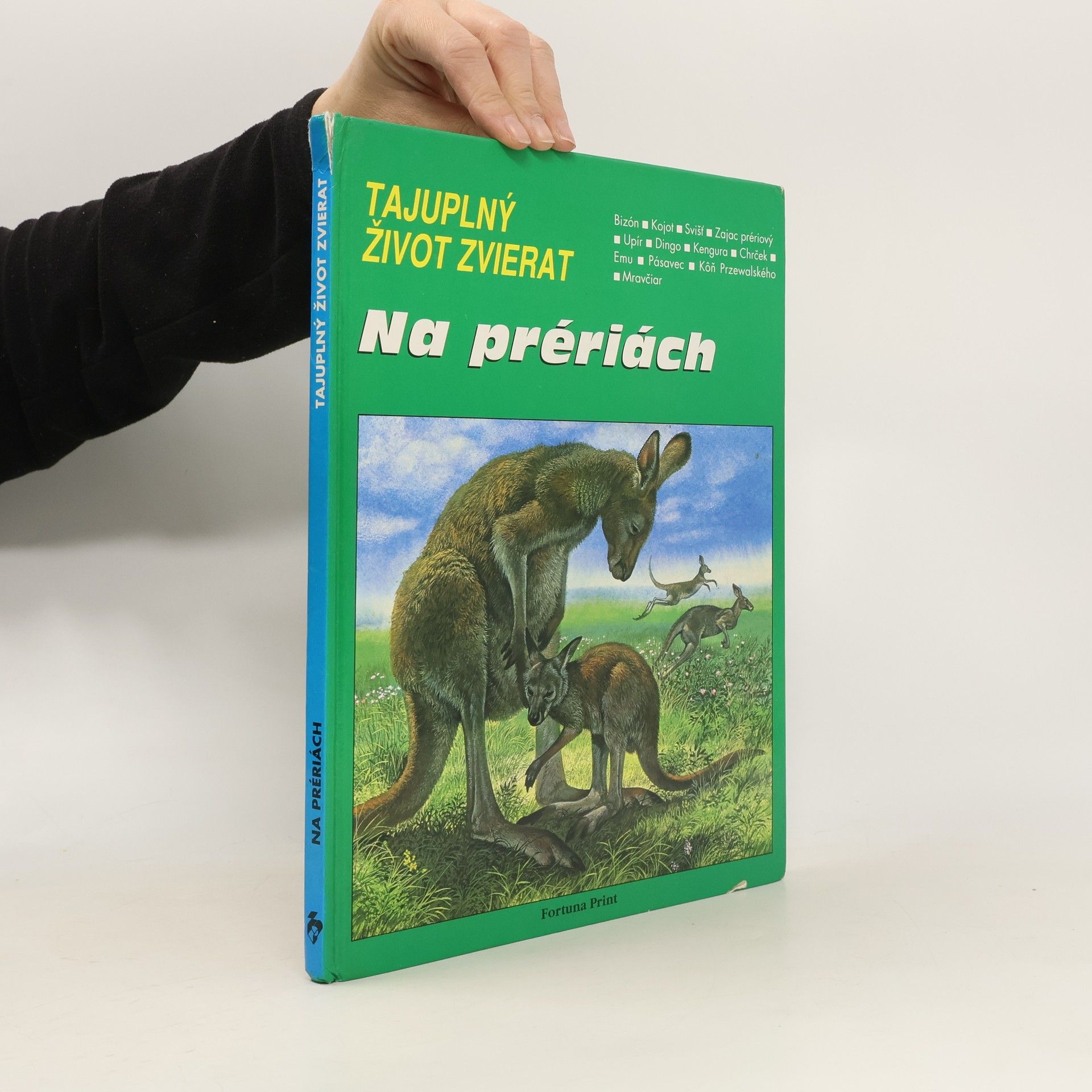 Daniel AlibertKouraquine Na prériách