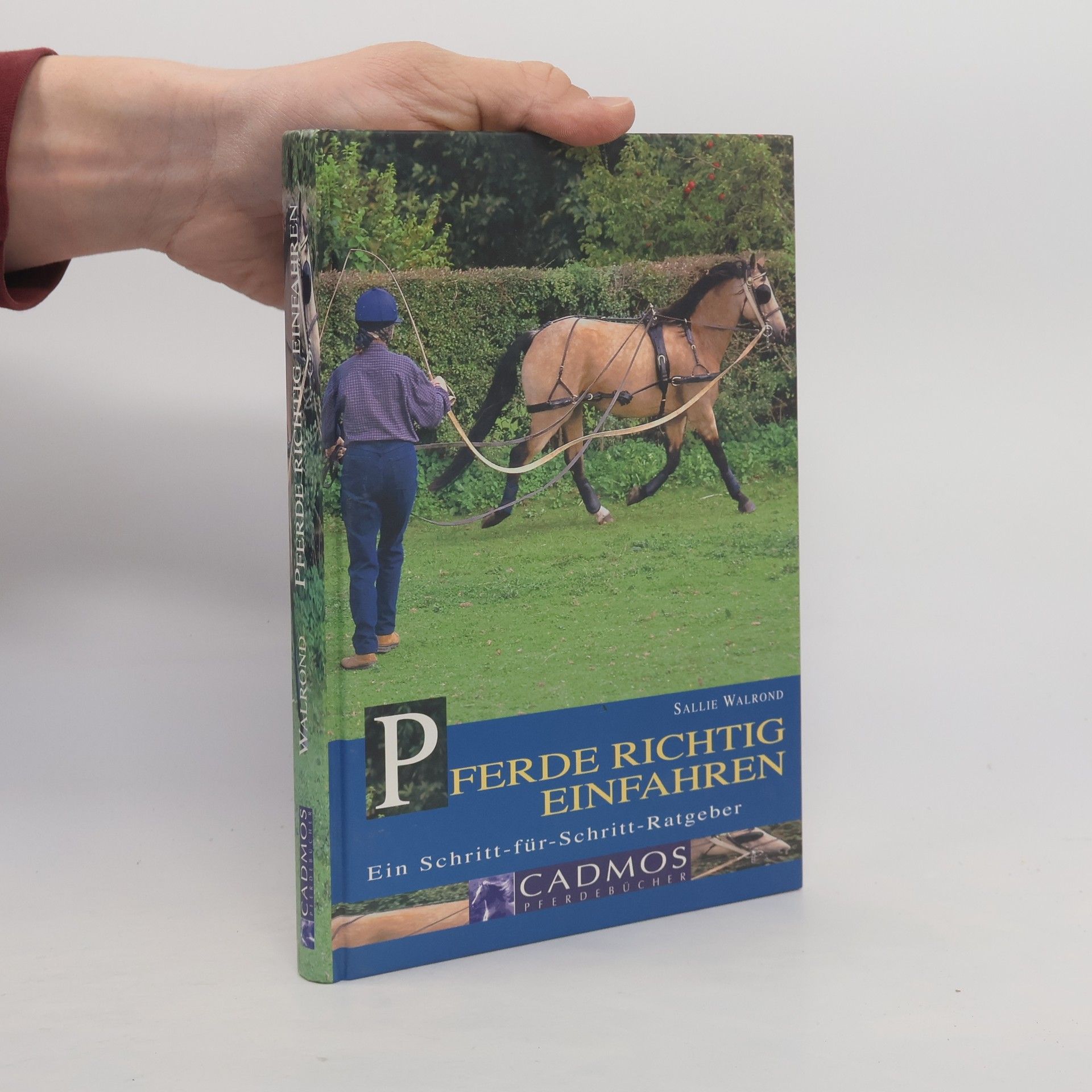 Sallie Walrond Pferde richtig einfahren