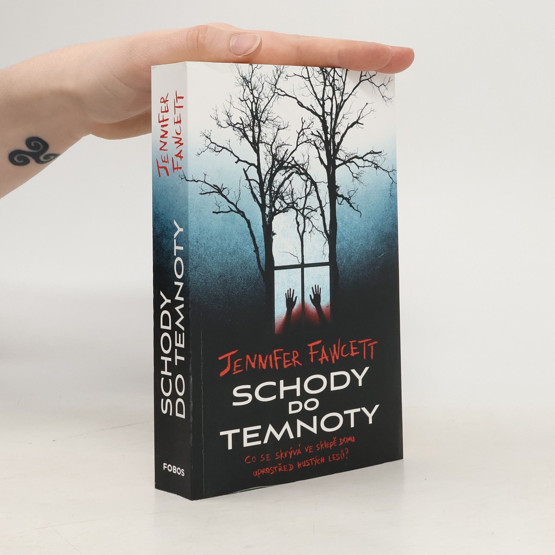 Jennifer Fawcett Schody do temnoty
