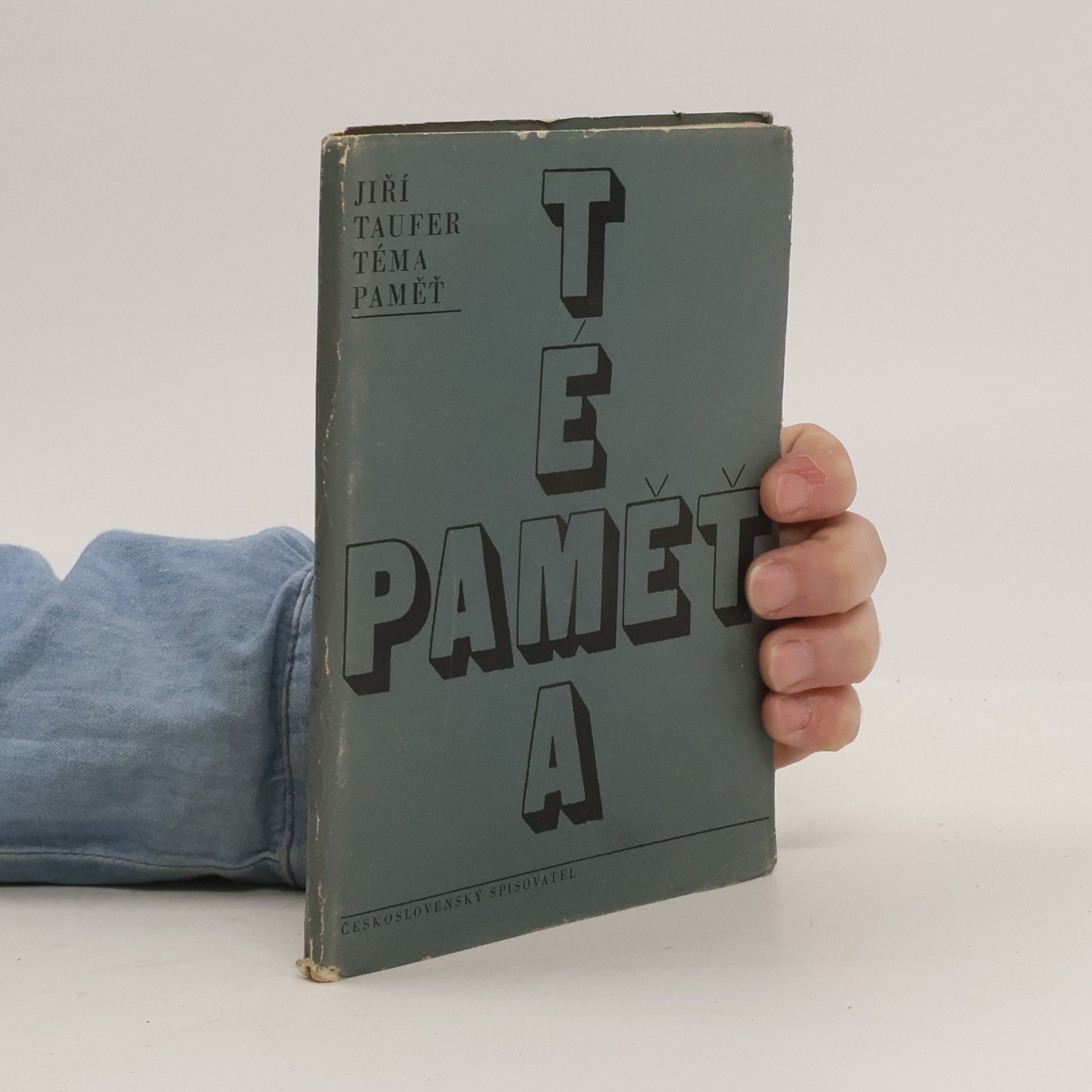 Jiří Taufer Téma paměť