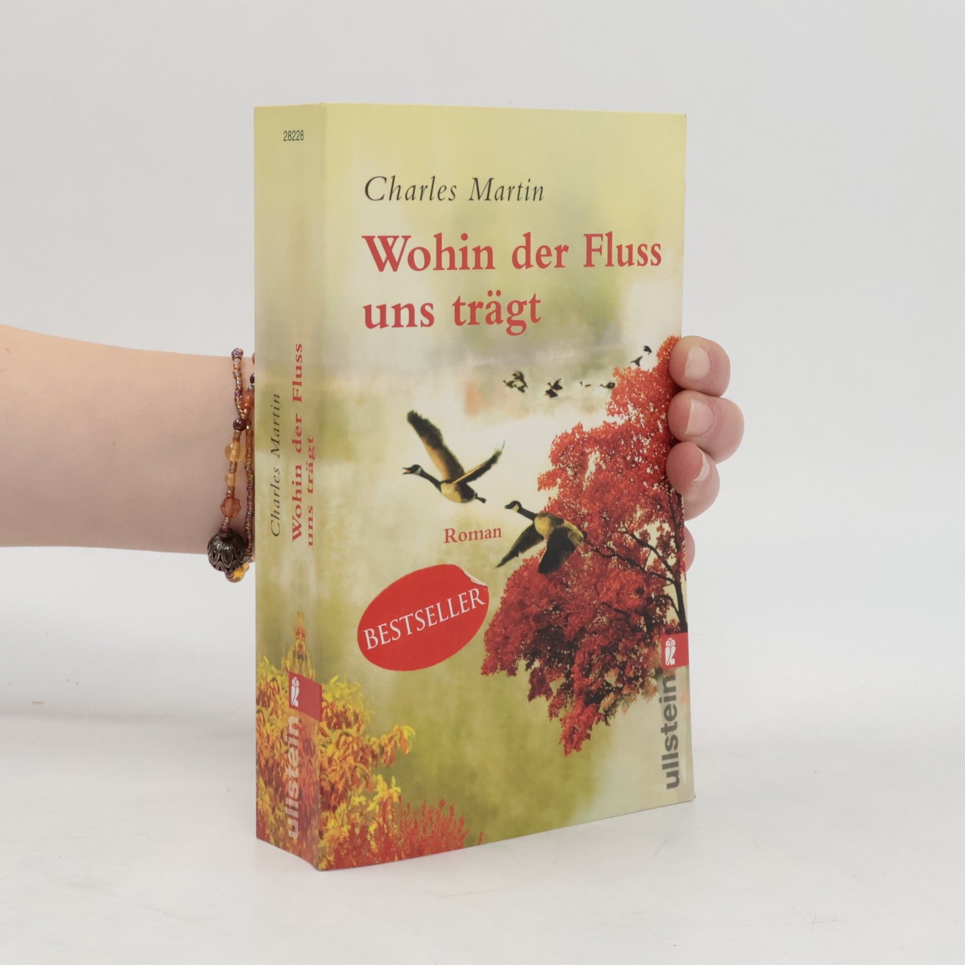 Charles Martin Wohin der Fluss uns trägt