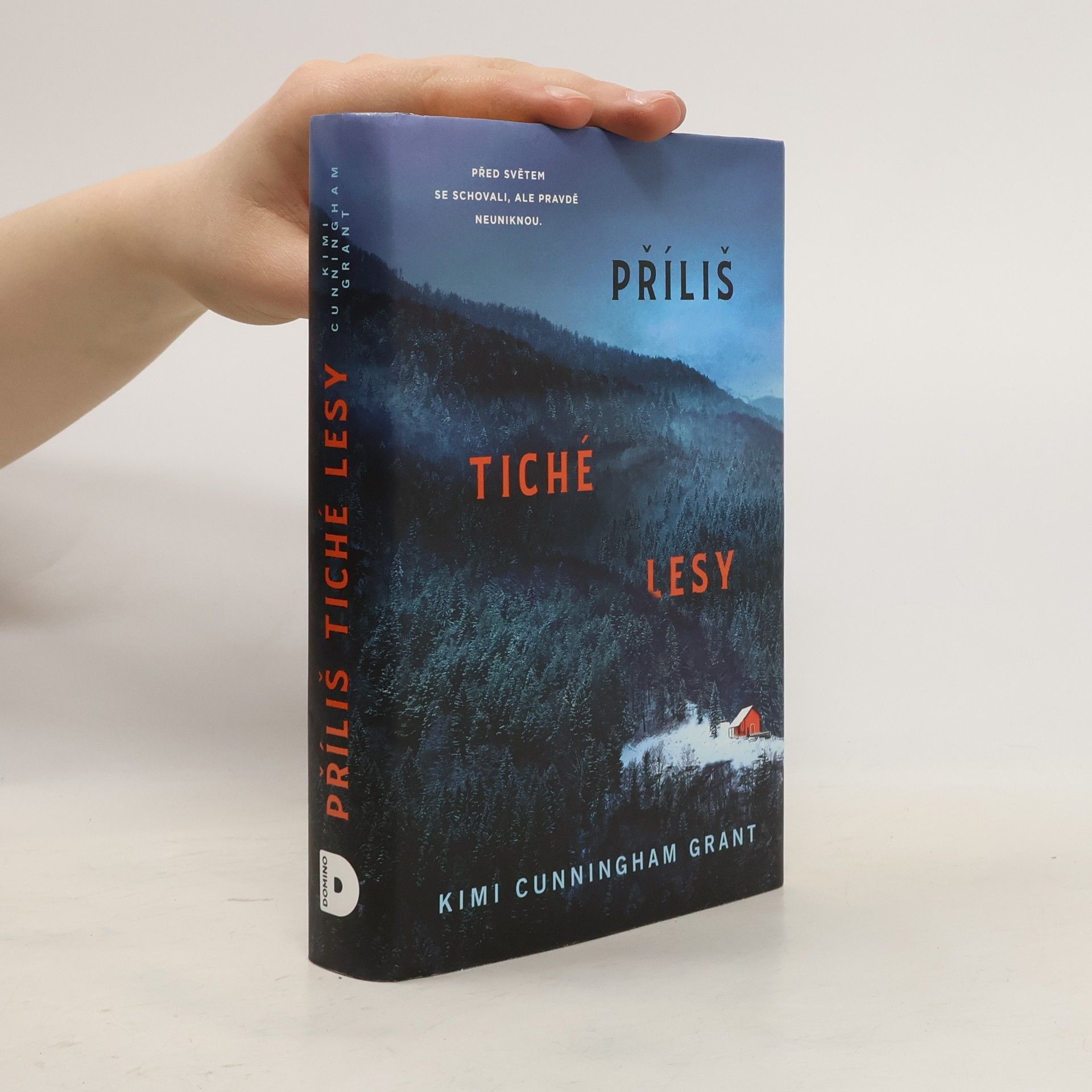 Kimi Cunningham Grant Příliš tiché lesy